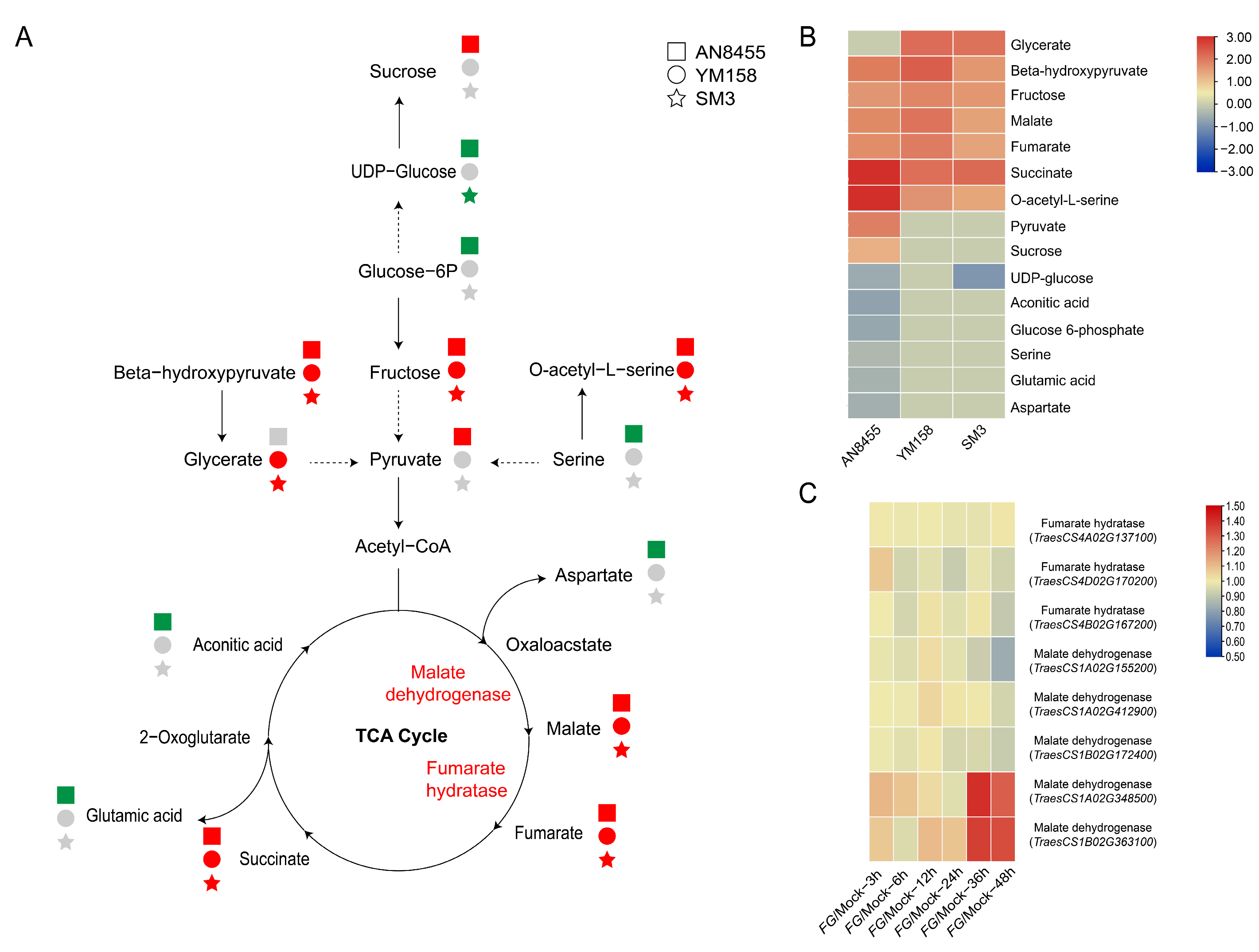 Ijms 24 03214 g003 Ijms 24 03214 g003