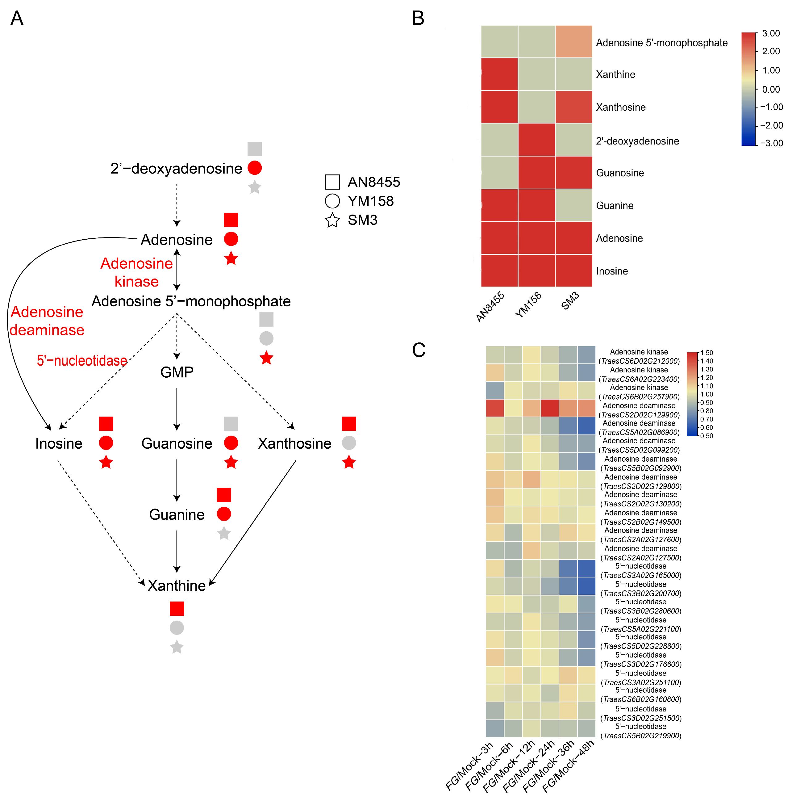Ijms 24 03214 g004 Ijms 24 03214 g004