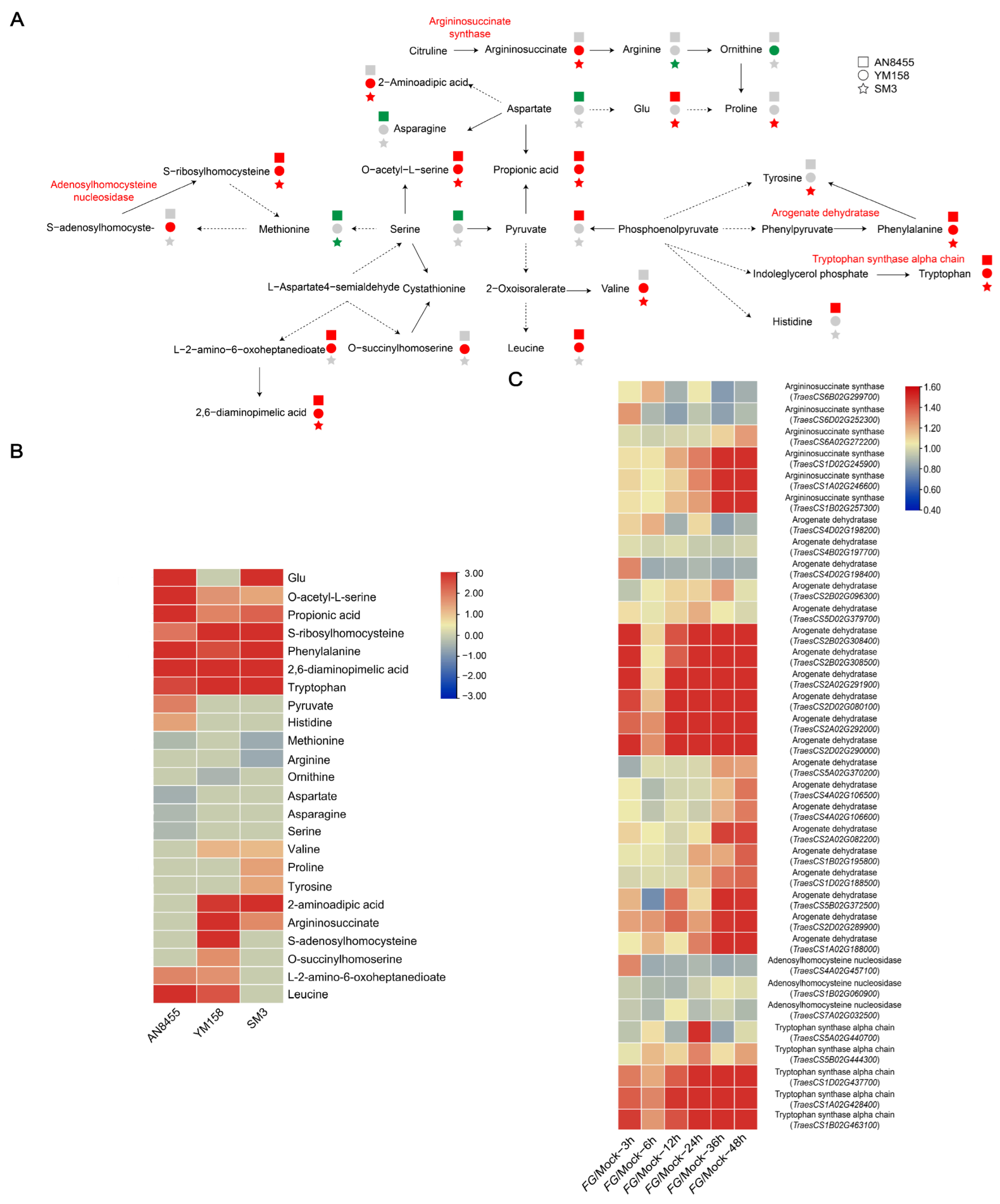 Ijms 24 03214 g005 Ijms 24 03214 g005