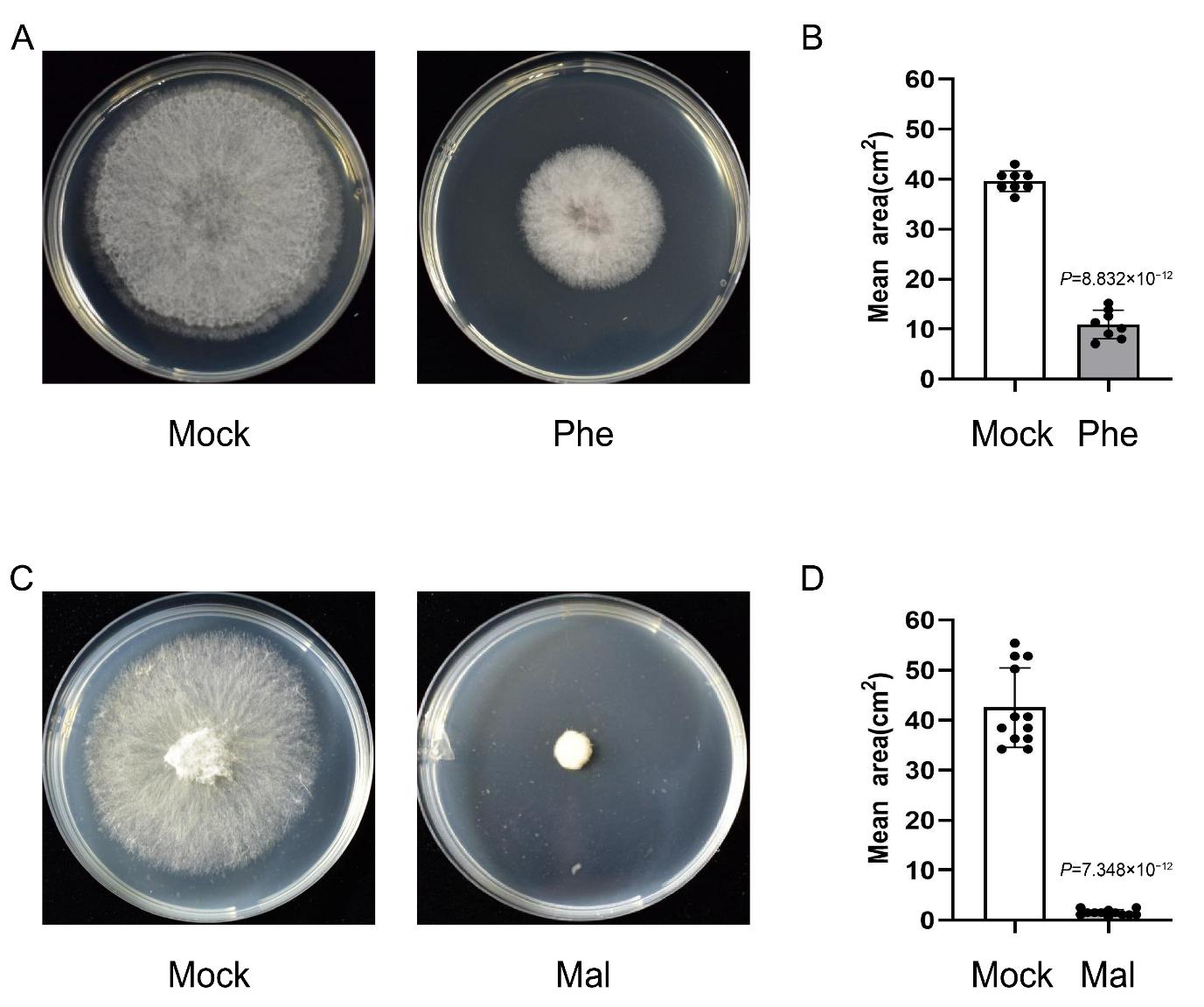 Ijms 24 03214 g006 Ijms 24 03214 g006