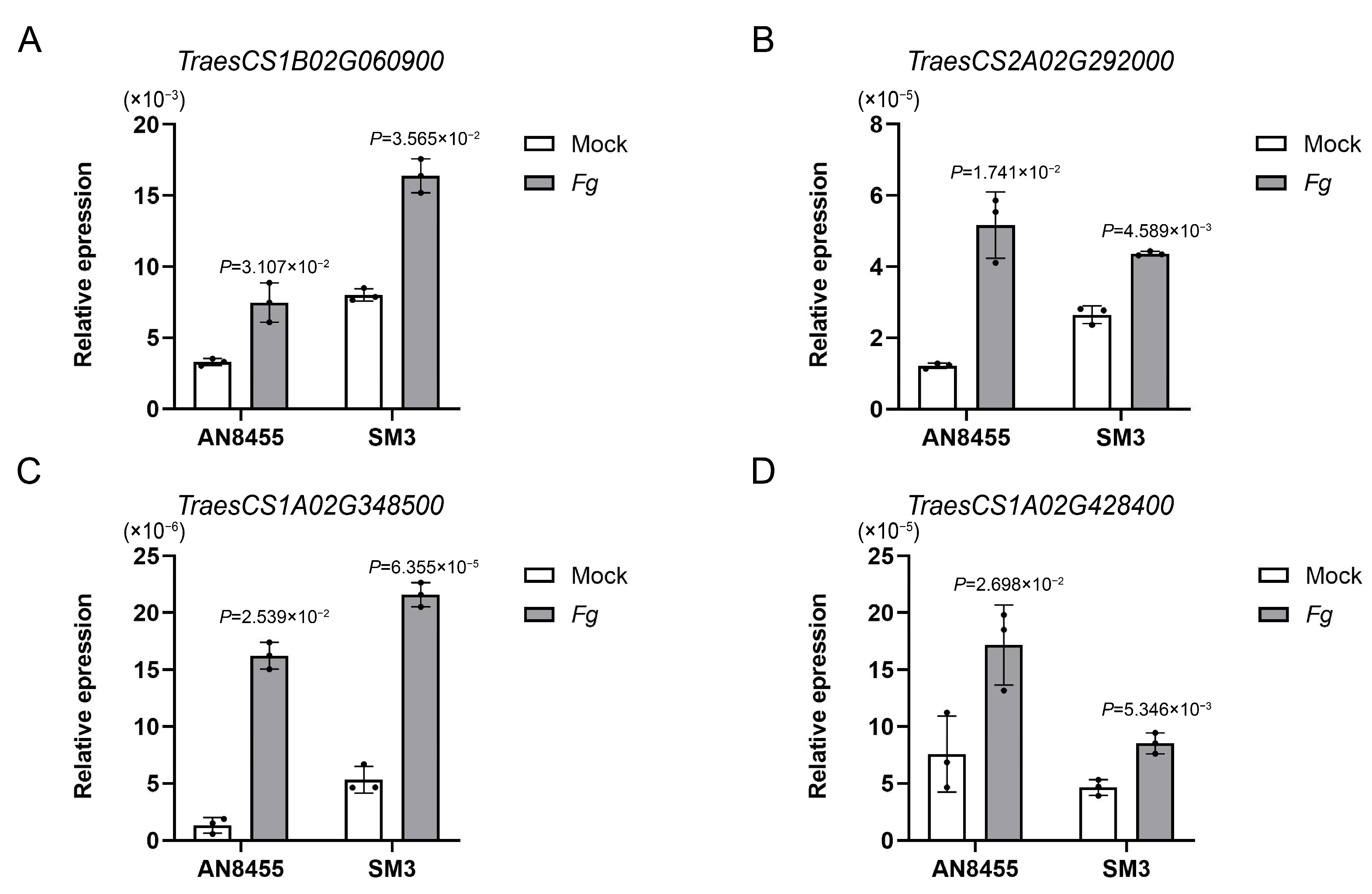 Ijms 24 03214 g007 Ijms 24 03214 g007