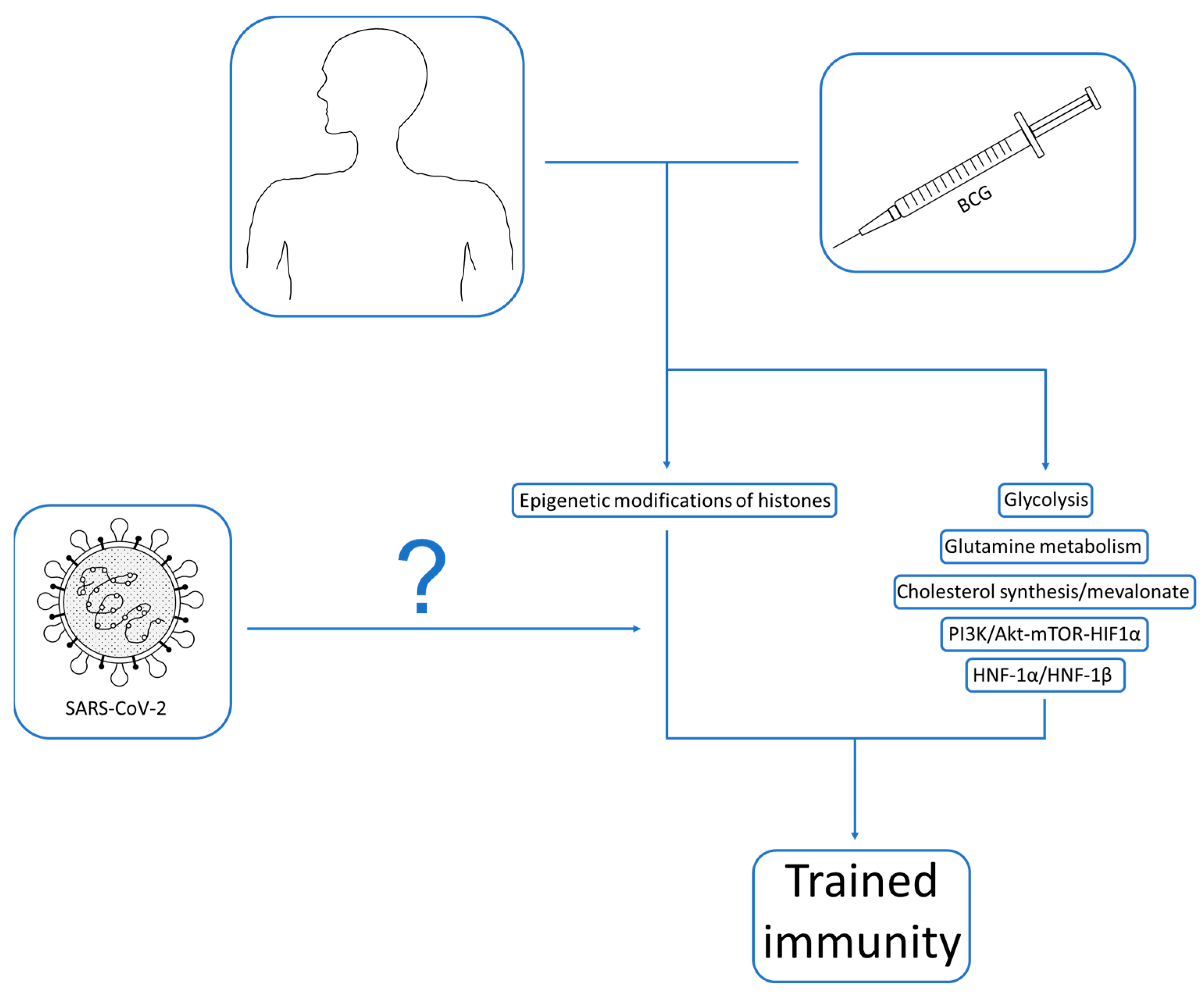 Ijms 24 03218 g001 Ijms 24 03218 g001