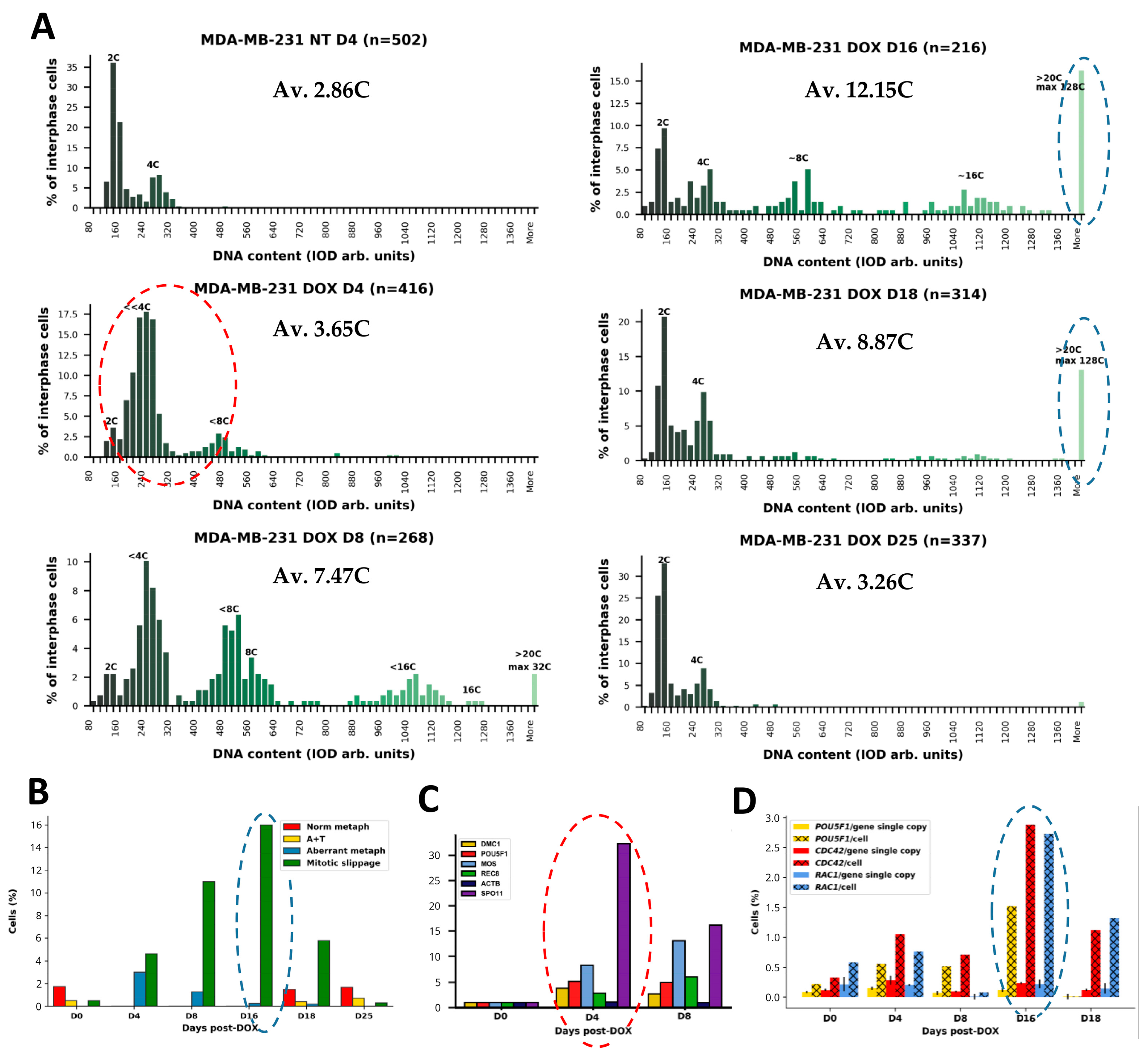 Ijms 24 03237 g001 Ijms 24 03237 g001