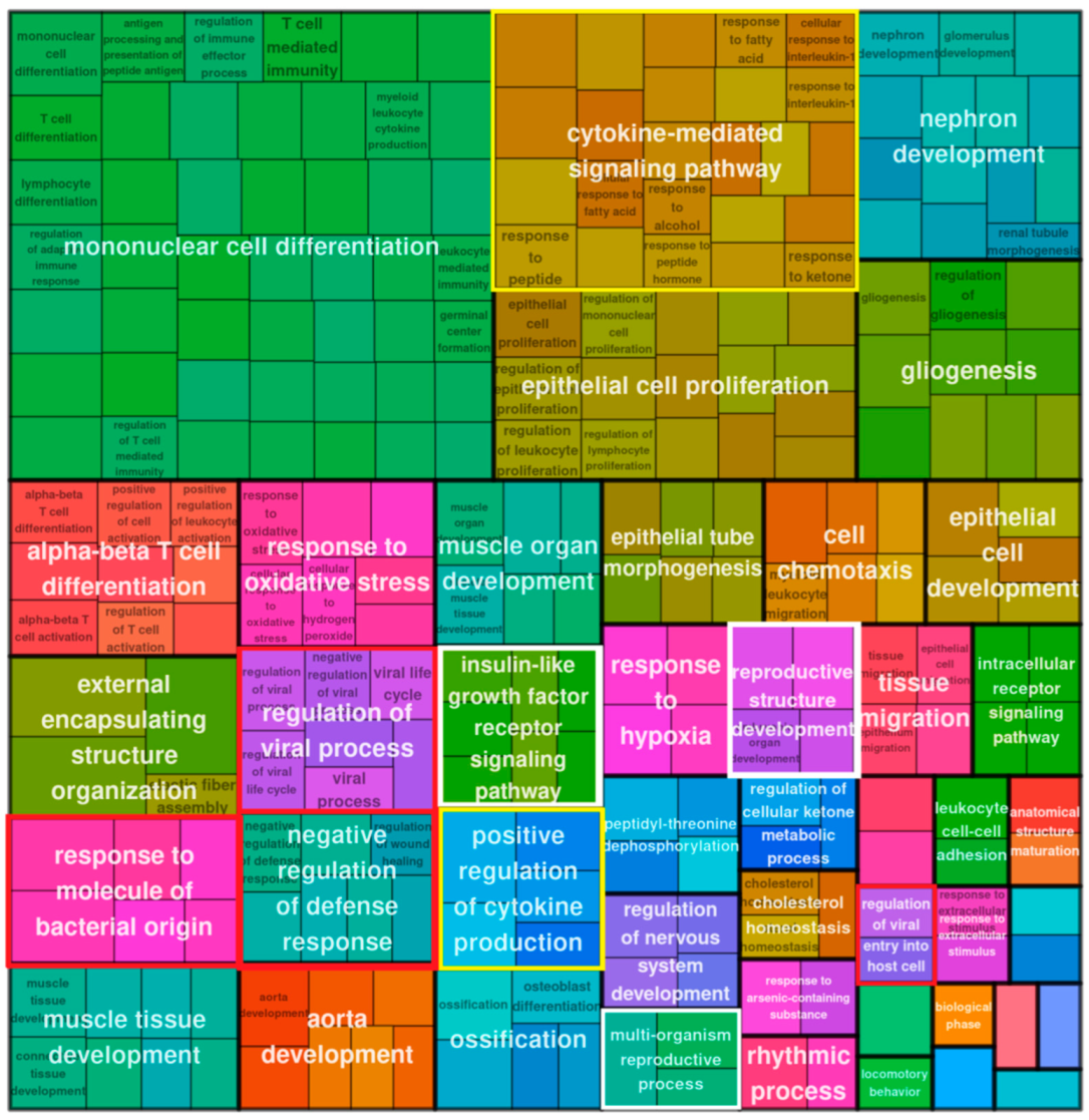 Ijms 24 03237 g003 Ijms 24 03237 g003