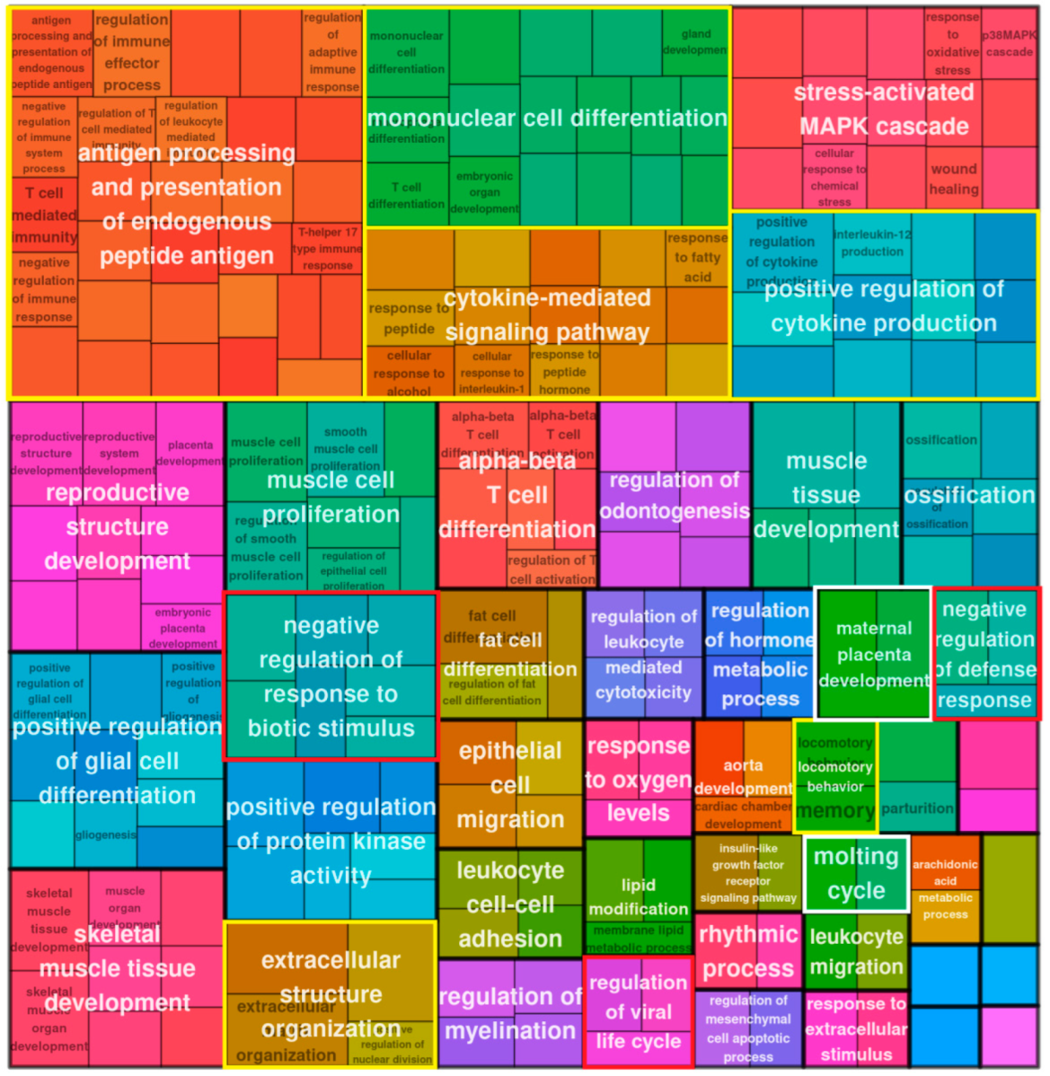 Ijms 24 03237 g004 Ijms 24 03237 g004