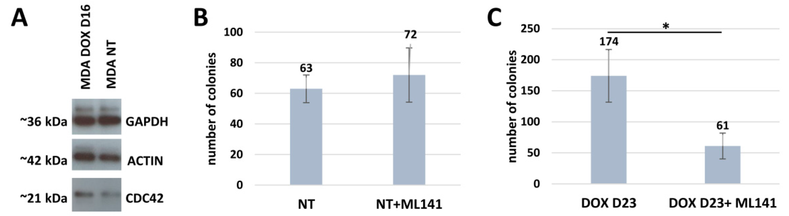 Ijms 24 03237 g008 Ijms 24 03237 g008