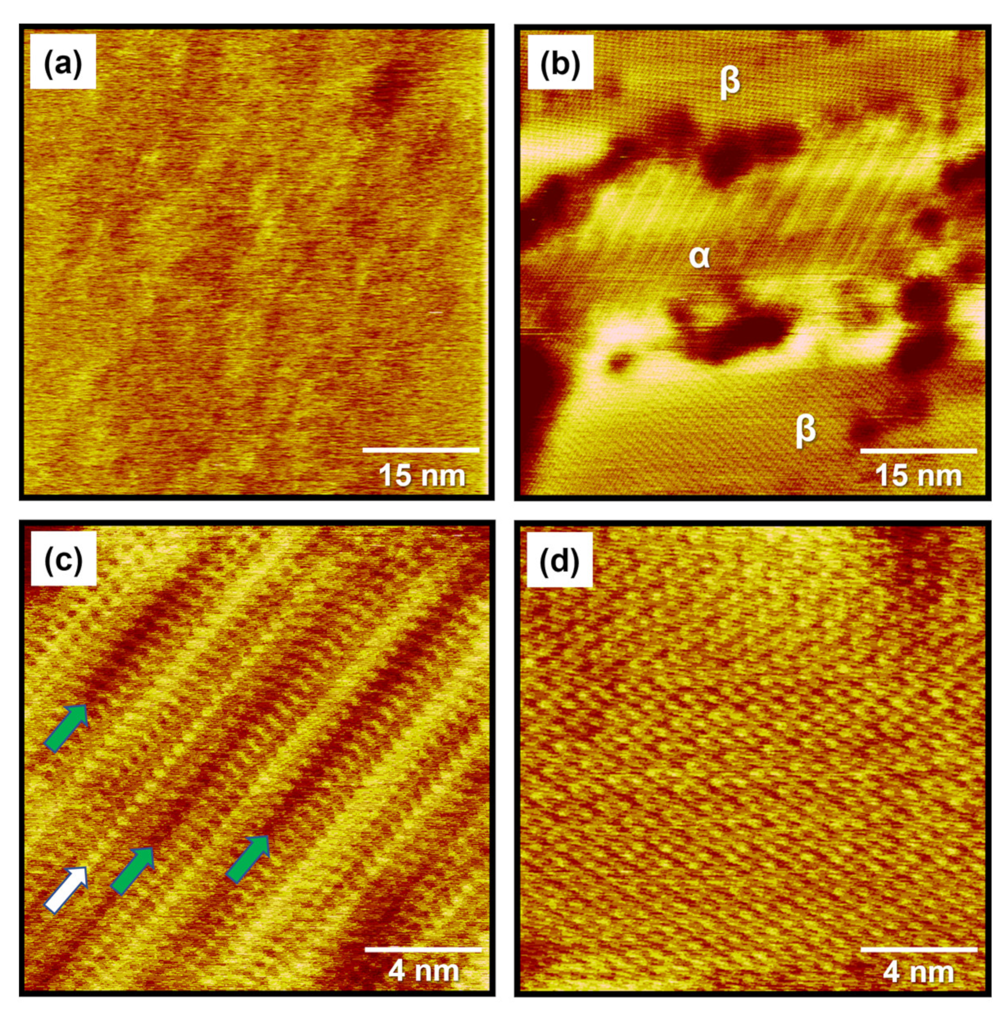 Ijms 24 03241 g002 550