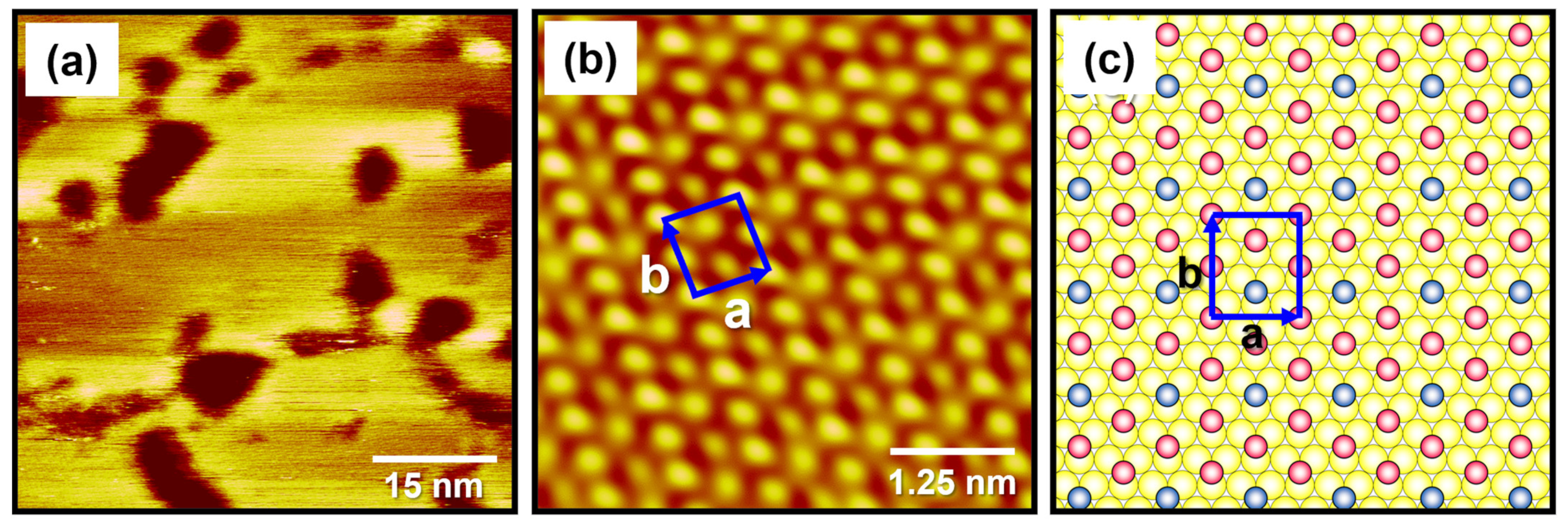 Ijms 24 03241 g003 550