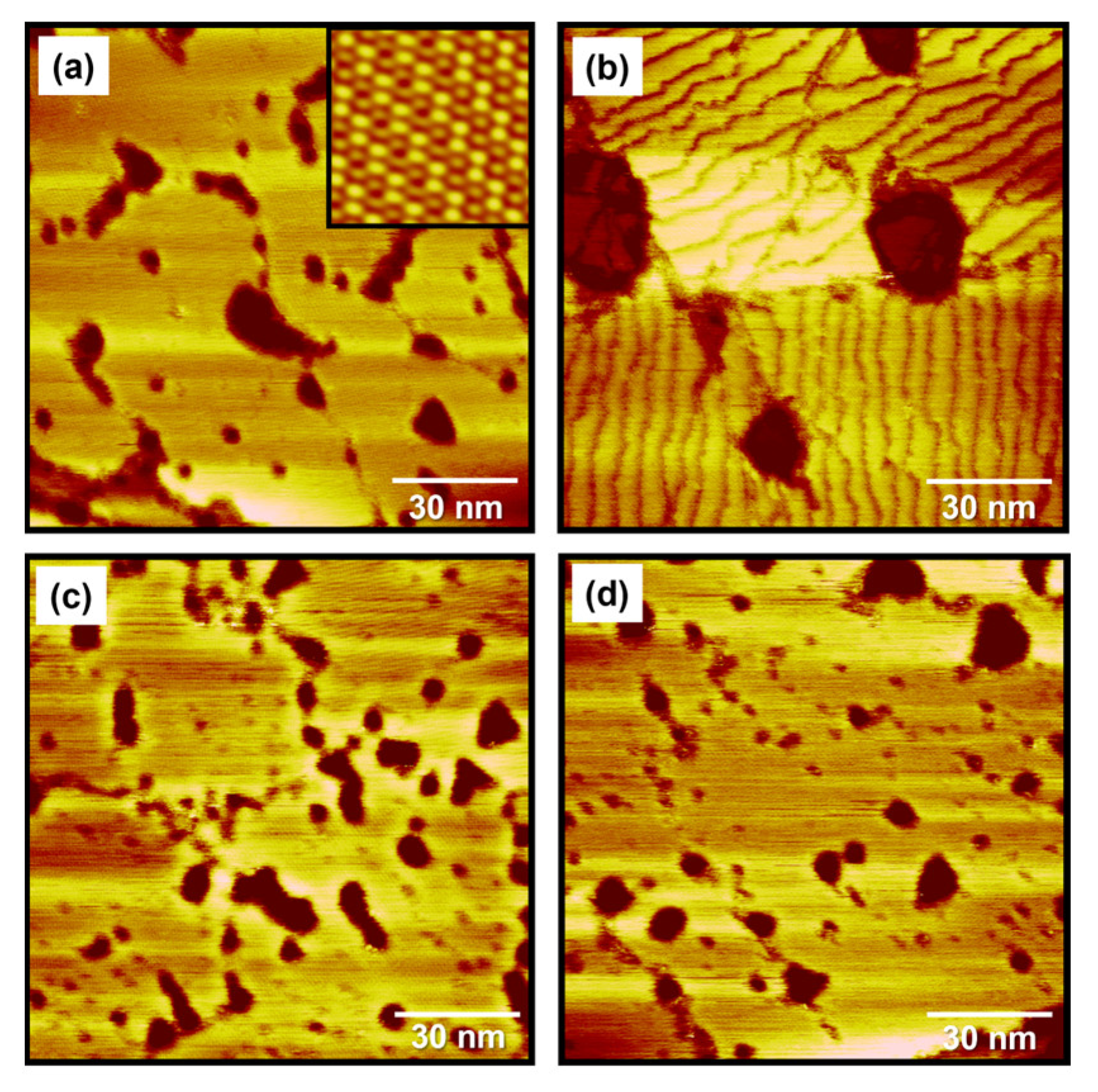 Ijms 24 03241 g006 550