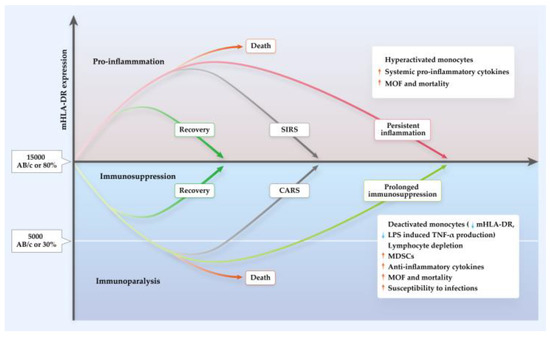 Monocytic HLA-DR Expression in Immune Responses of Acute