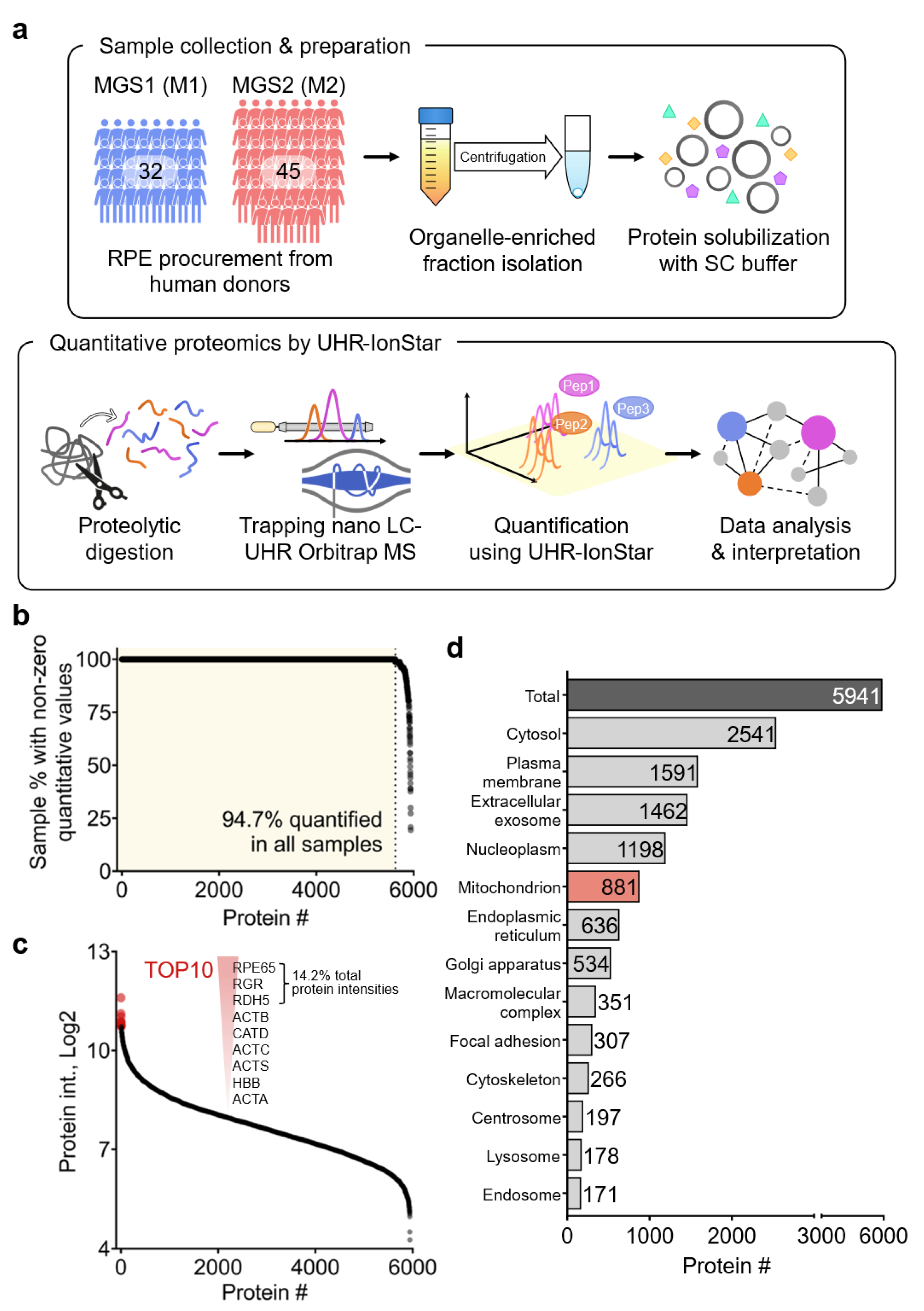 Ijms 24 03252 g001 Ijms 24 03252 g001