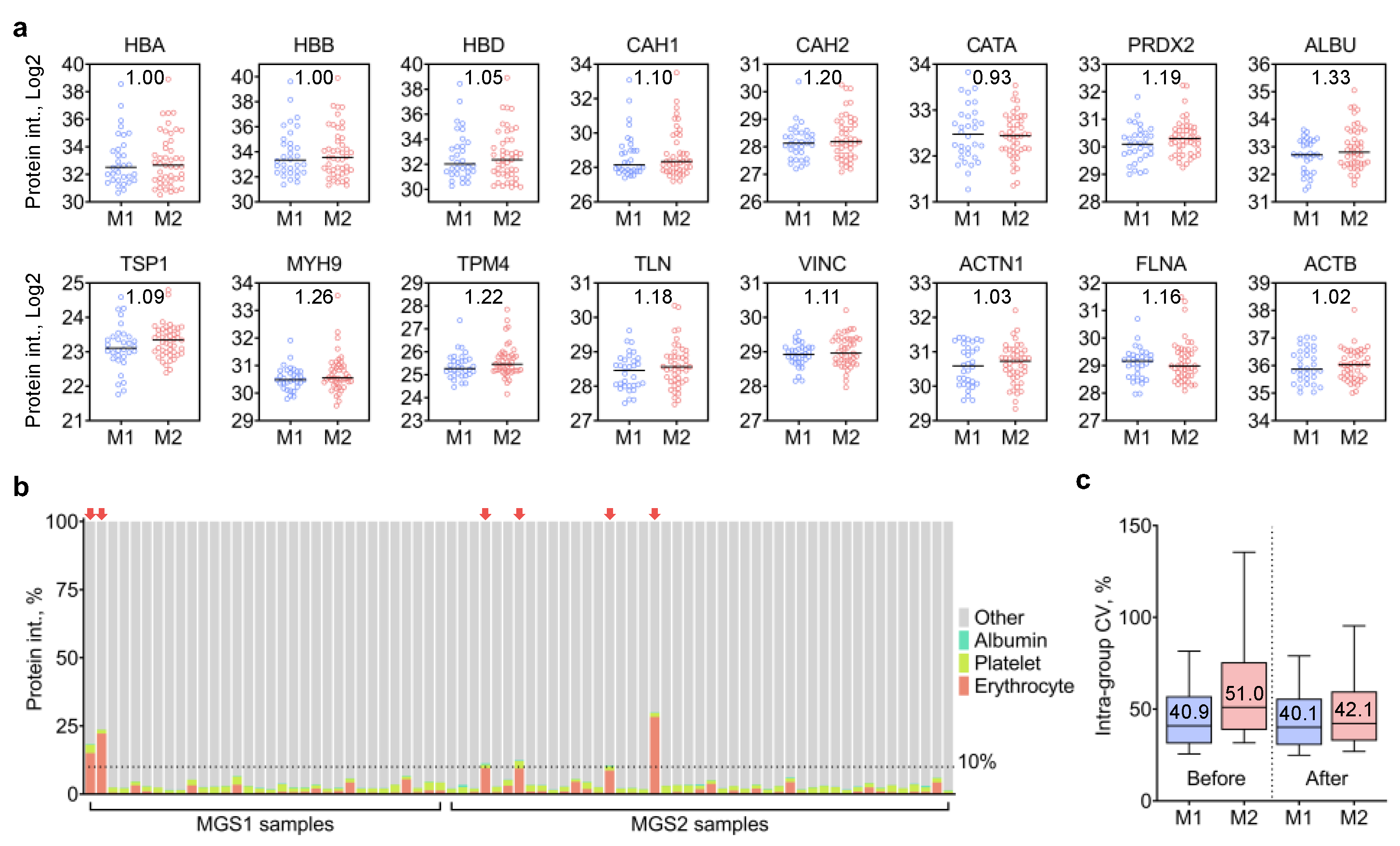 Ijms 24 03252 g003 Ijms 24 03252 g003