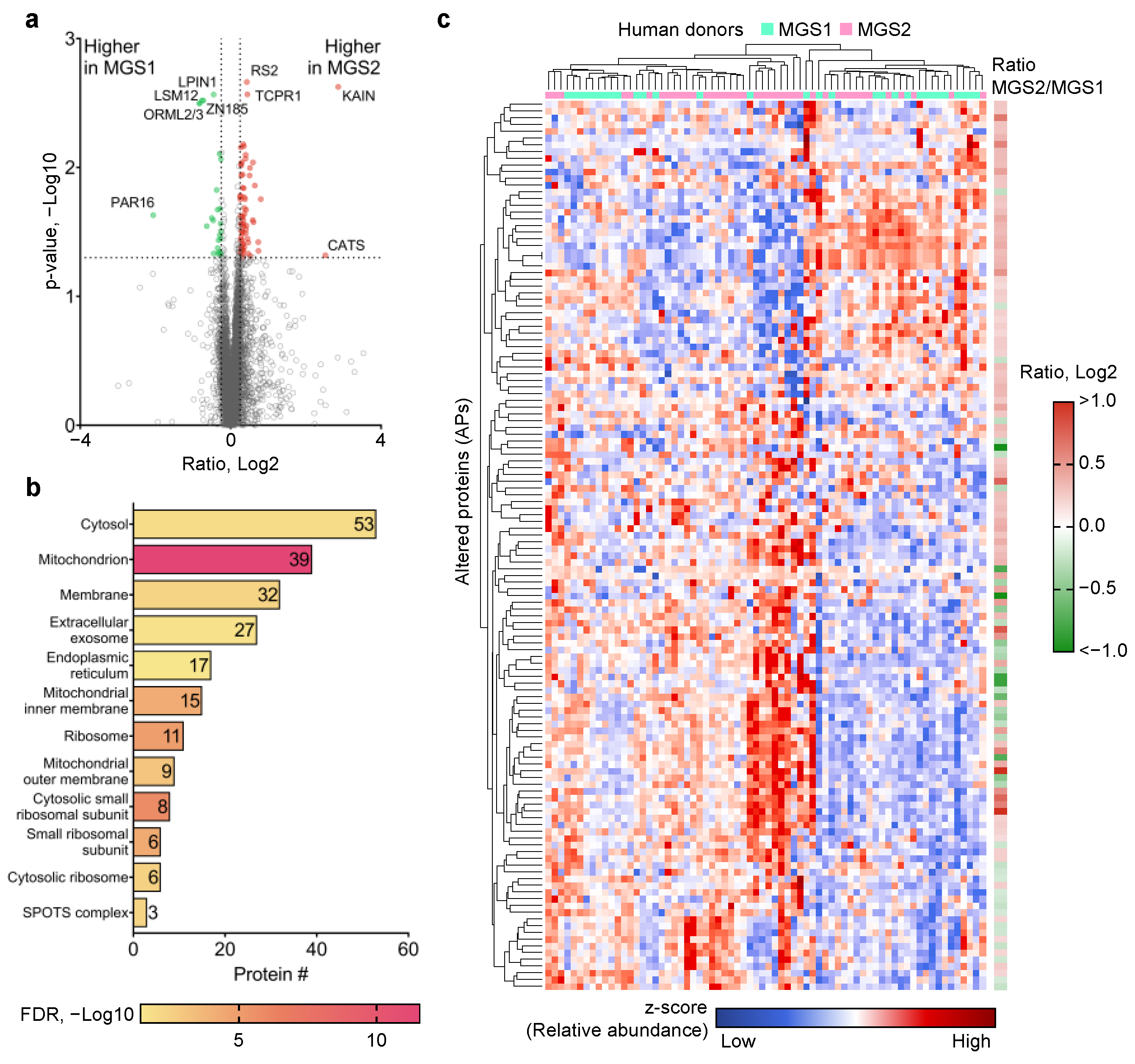 Ijms 24 03252 g004 Ijms 24 03252 g004
