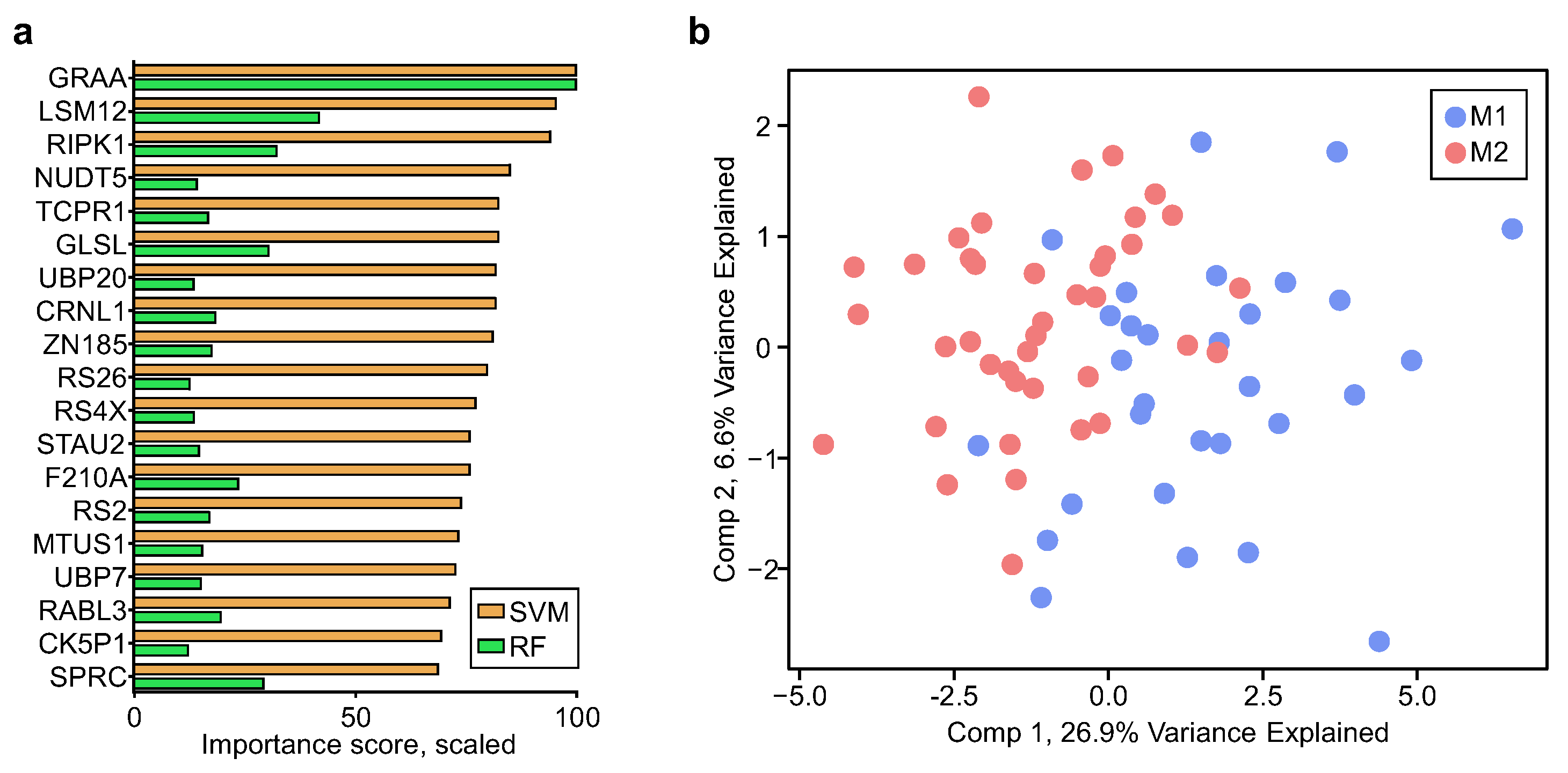 Ijms 24 03252 g005 Ijms 24 03252 g005