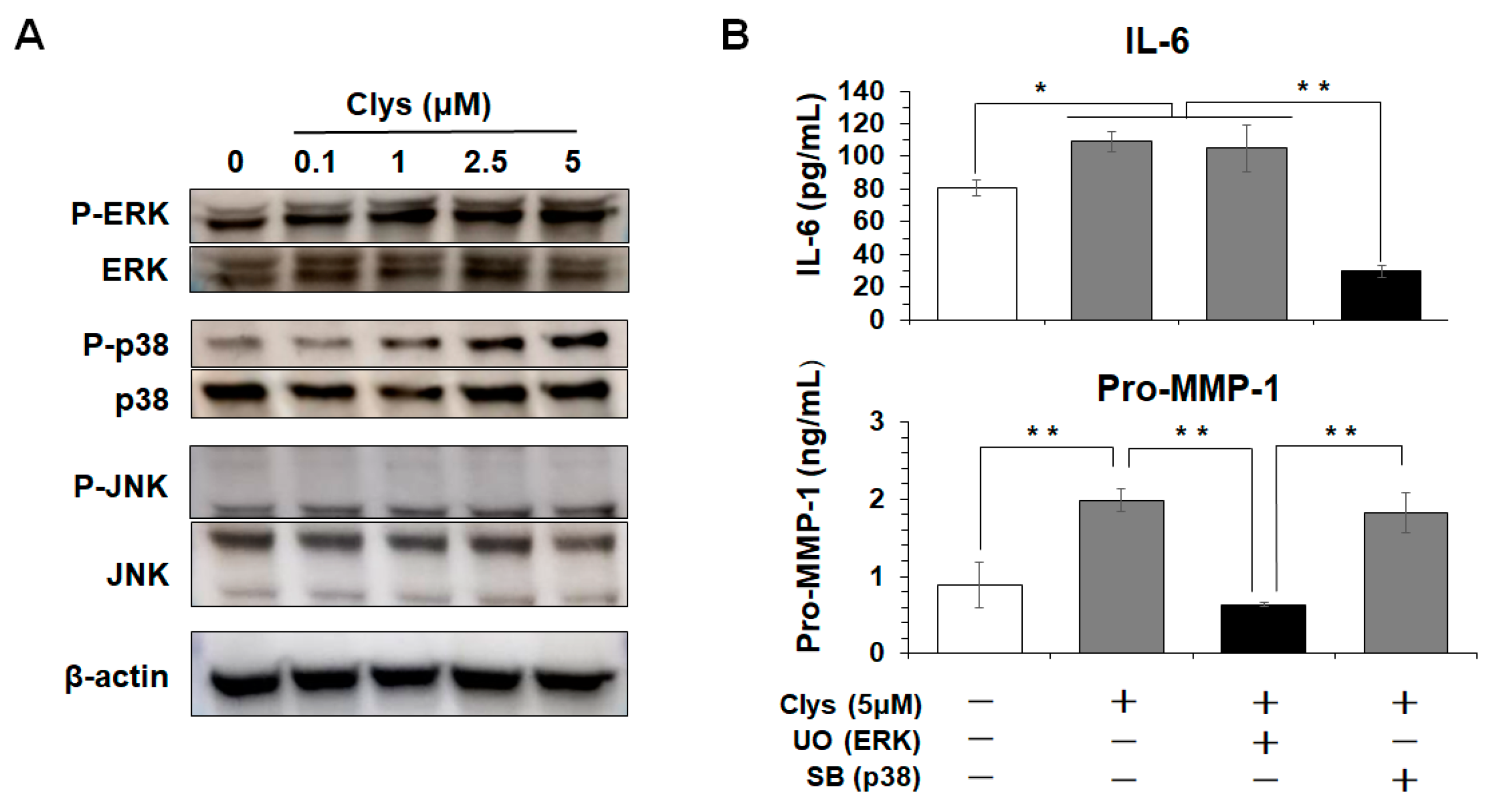 Ijms 24 03256 g004 Ijms 24 03256 g004