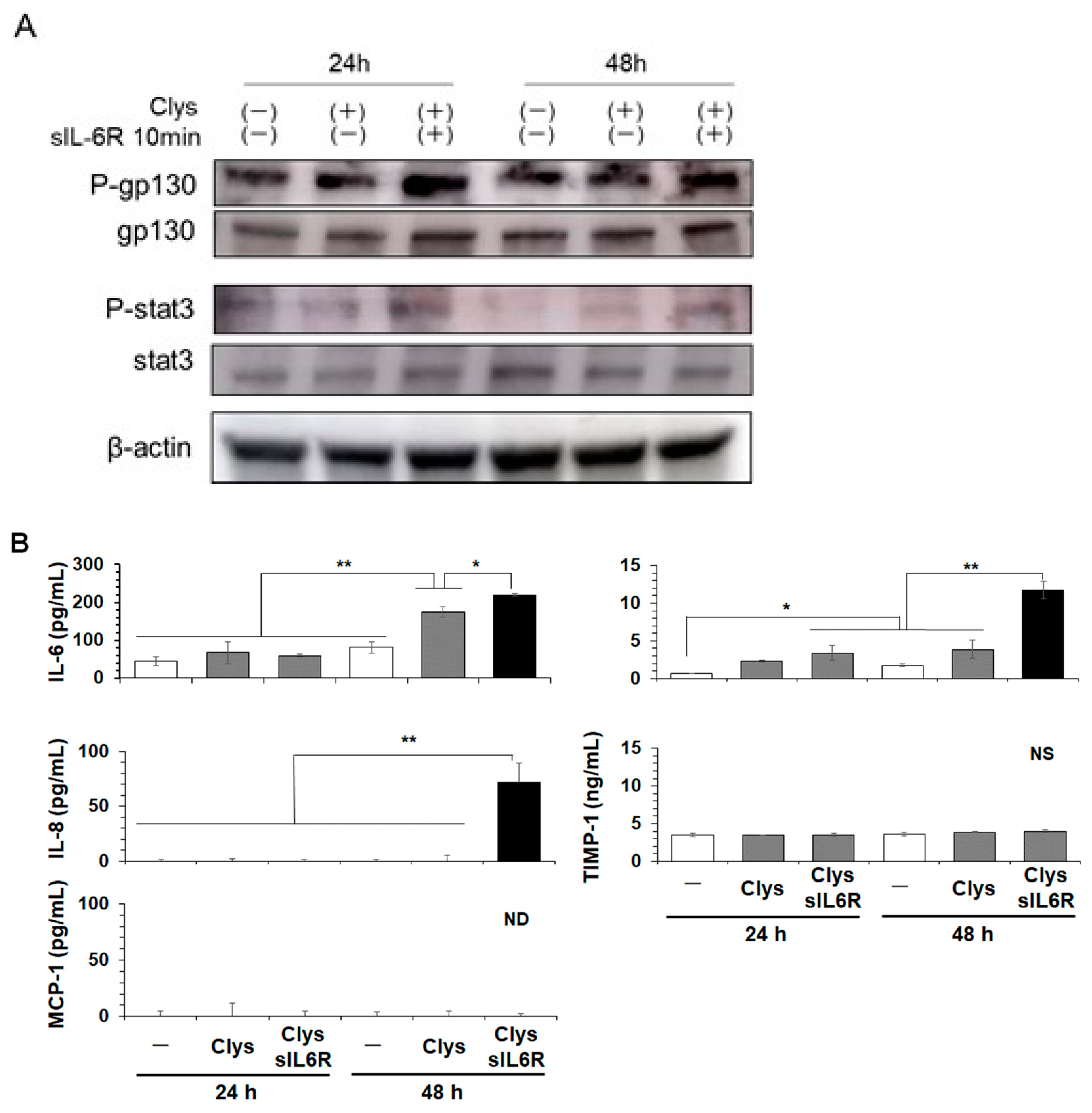 Ijms 24 03256 g005 Ijms 24 03256 g005