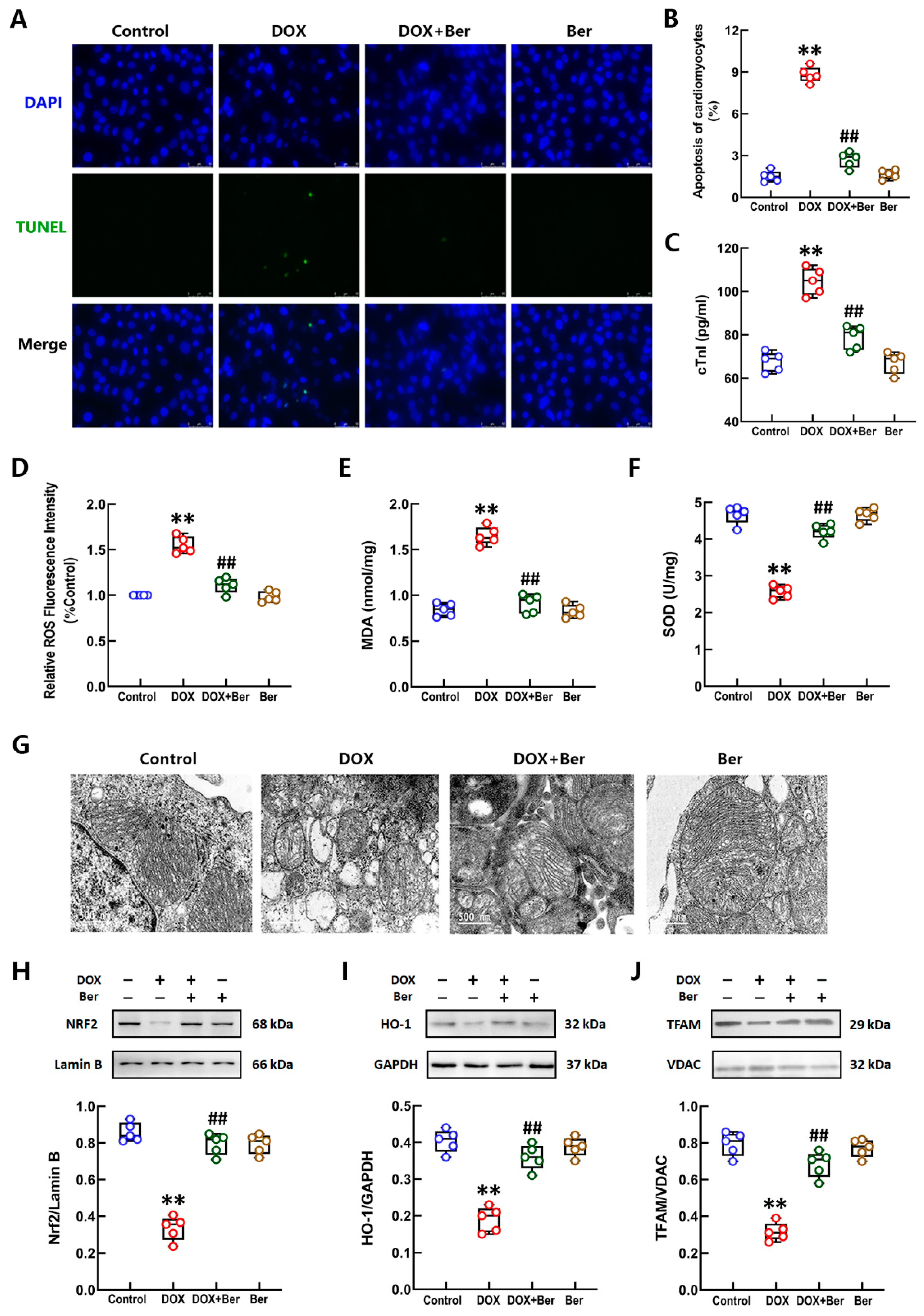Ijms 24 03257 g002 Ijms 24 03257 g002