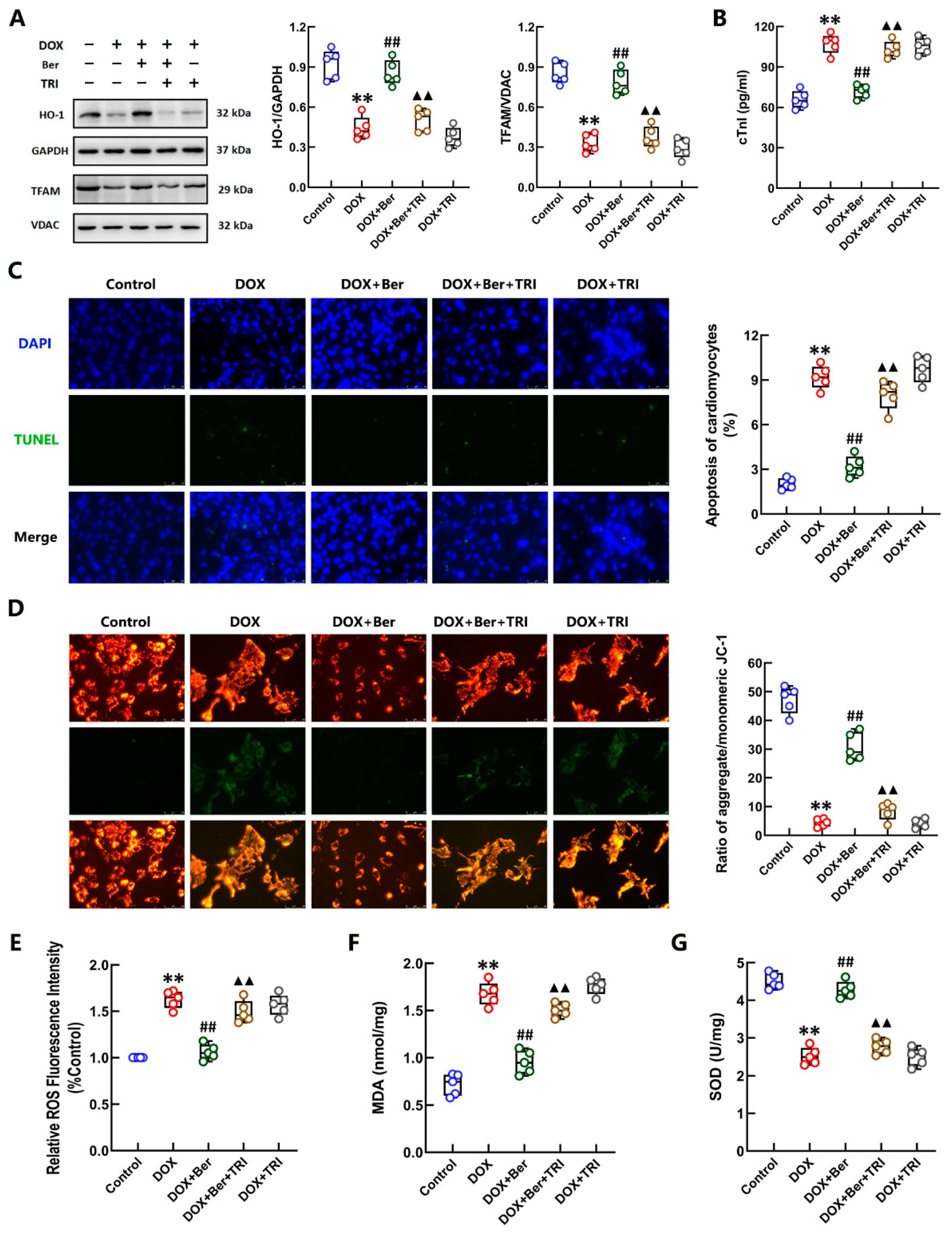 Ijms 24 03257 g003 Ijms 24 03257 g003
