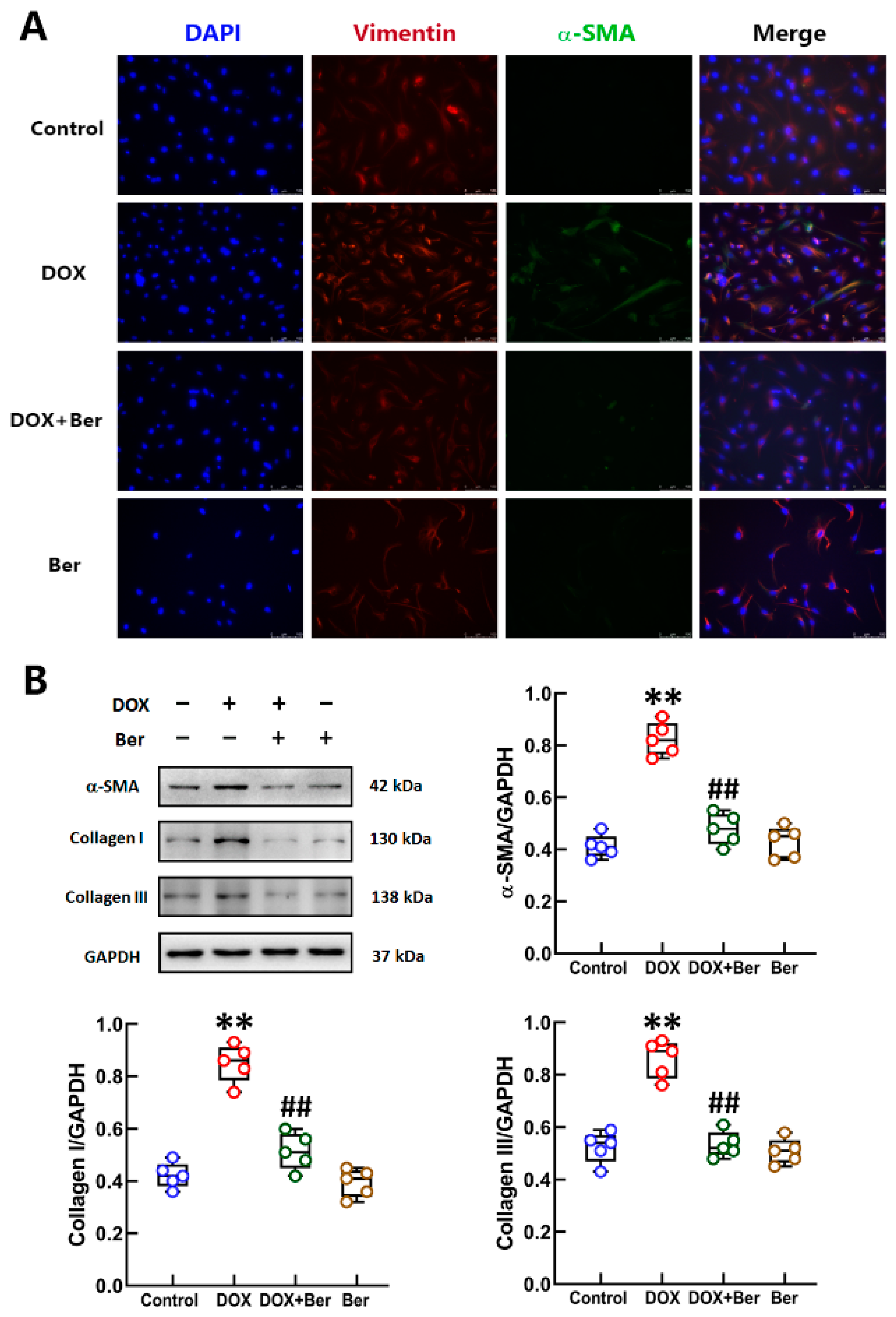 Ijms 24 03257 g004 Ijms 24 03257 g004