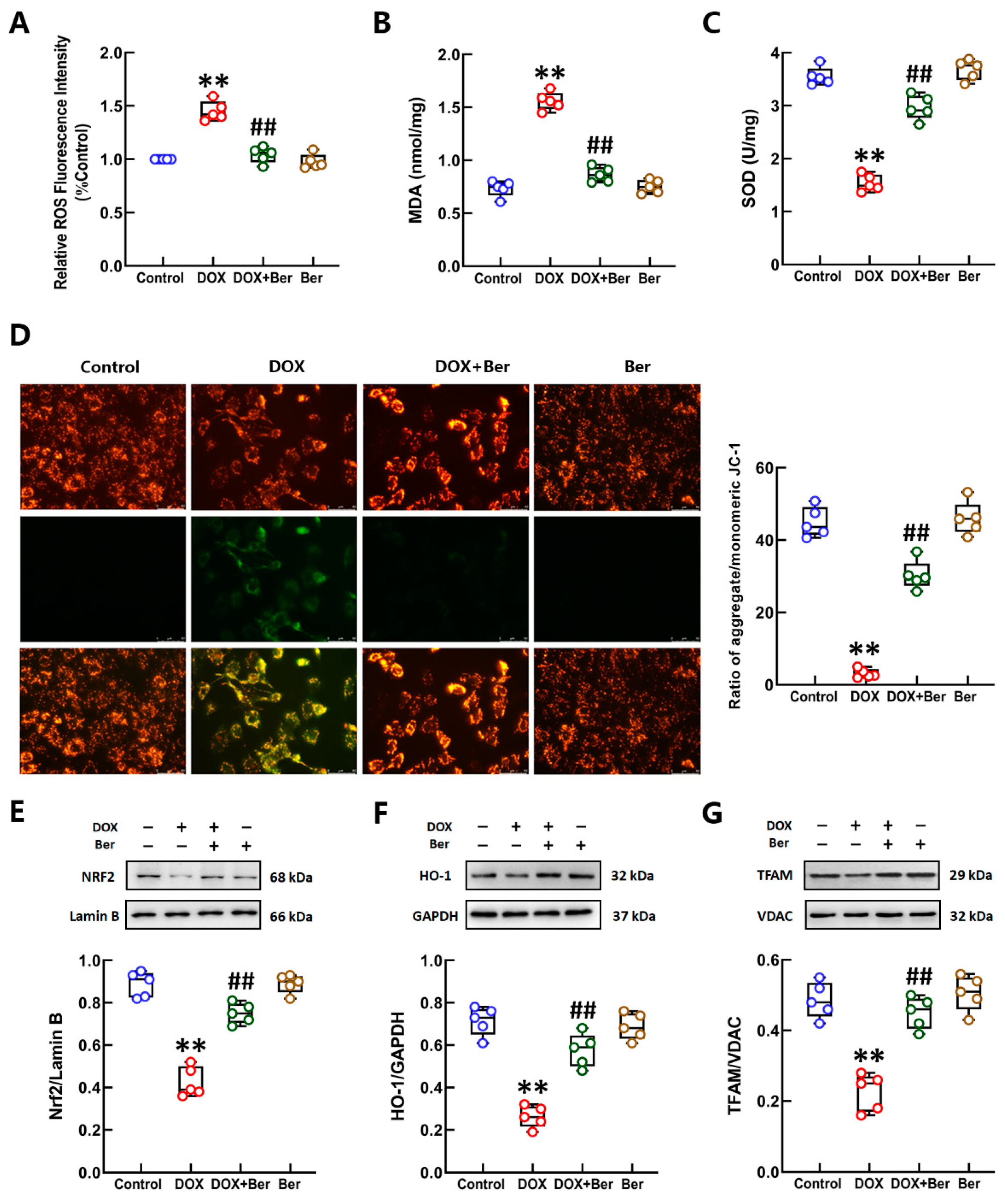 Ijms 24 03257 g005 Ijms 24 03257 g005