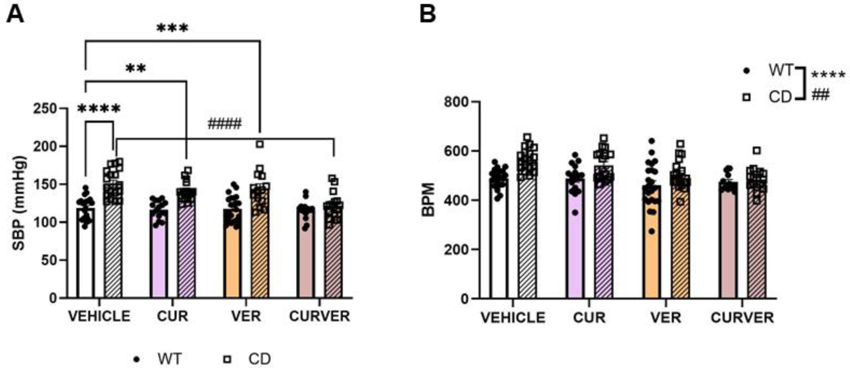 Ijms 24 03261 g001 Ijms 24 03261 g001