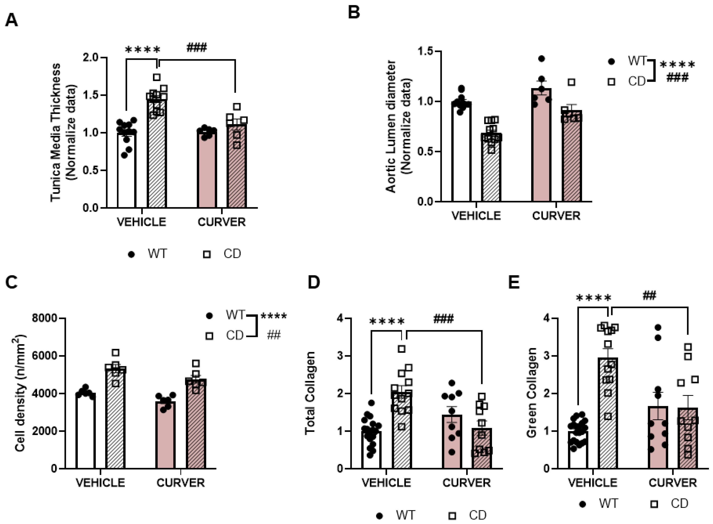 Ijms 24 03261 g002 Ijms 24 03261 g002