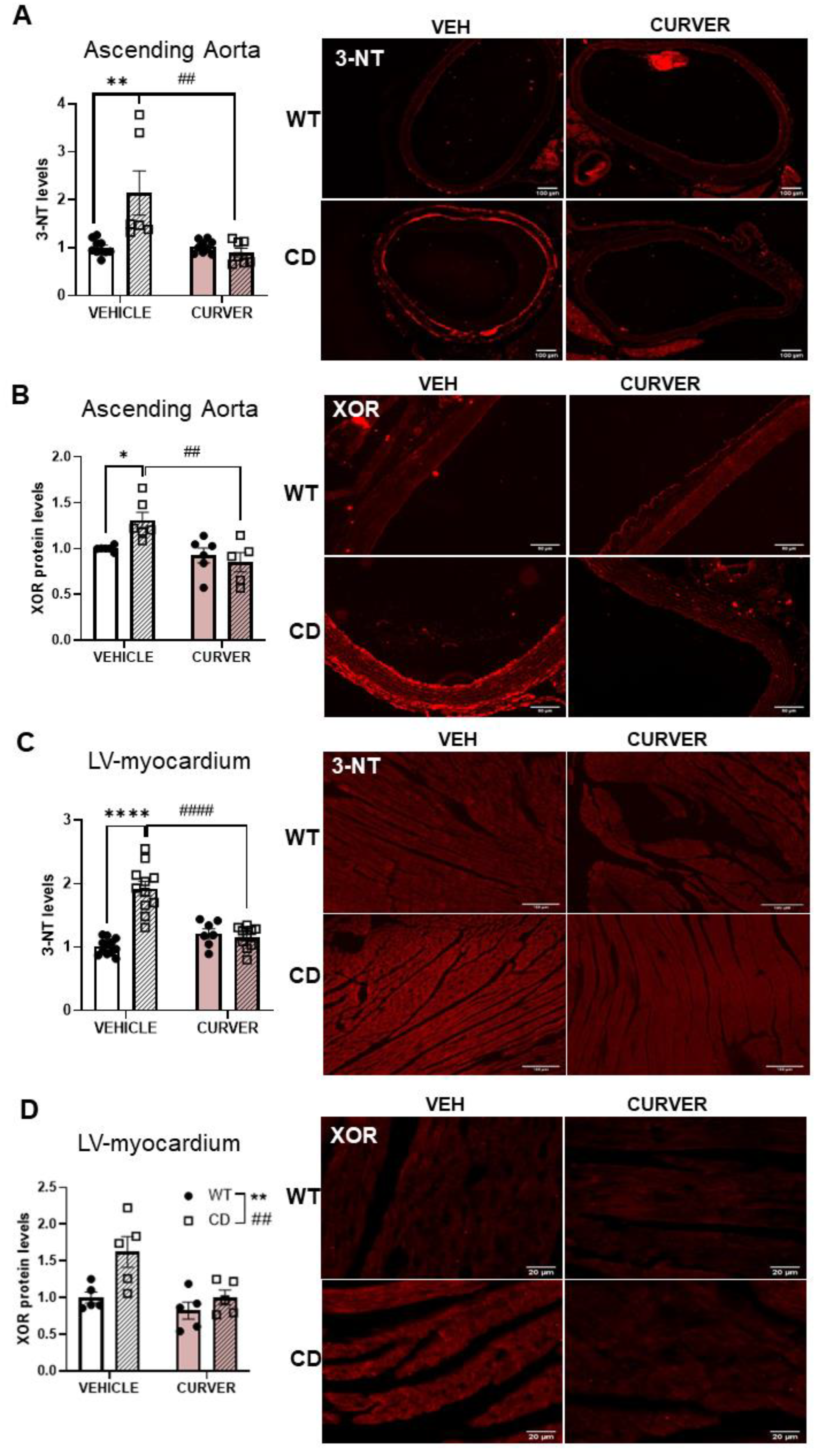 Ijms 24 03261 g004 Ijms 24 03261 g004