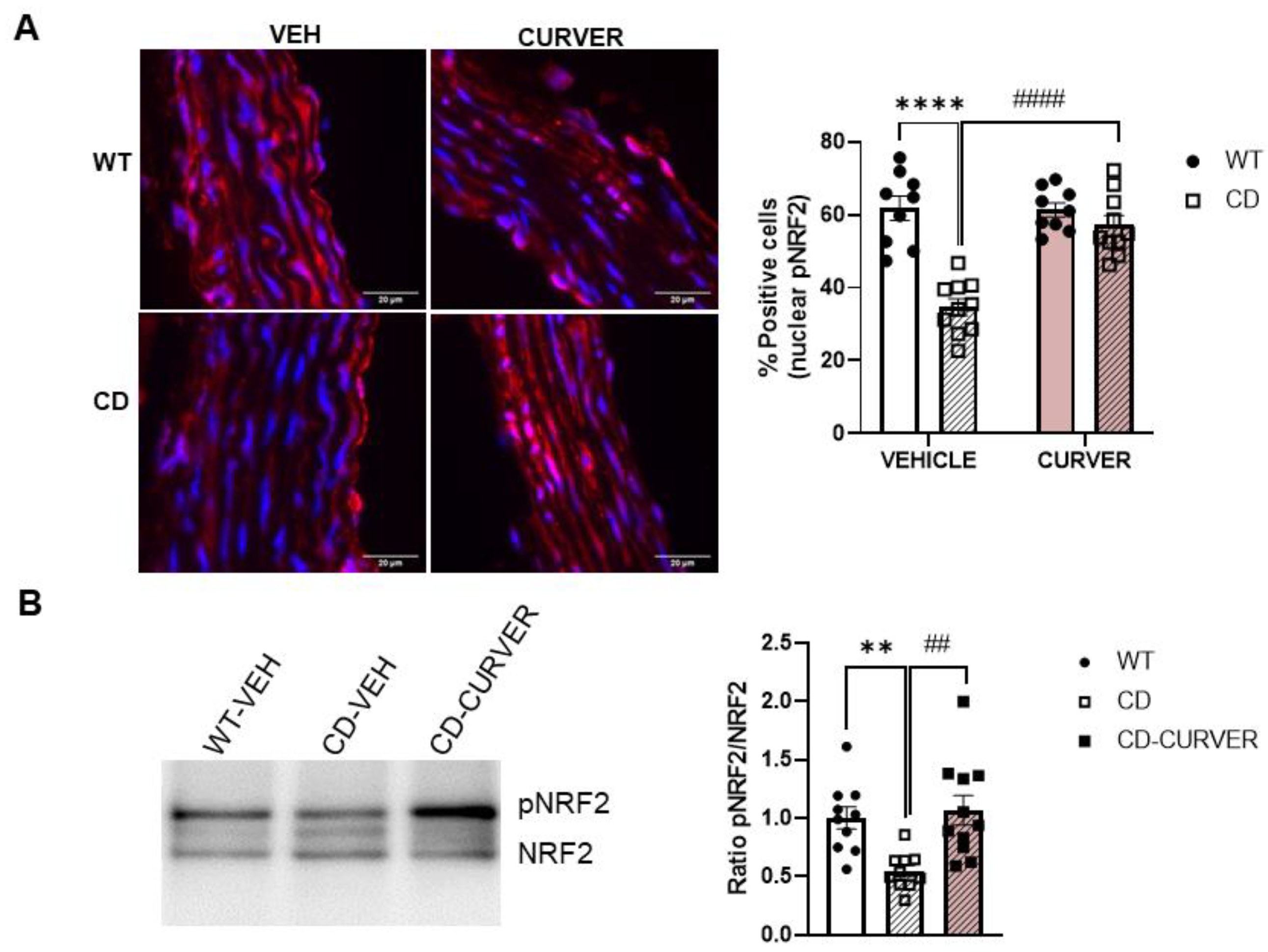 Ijms 24 03261 g005 Ijms 24 03261 g005