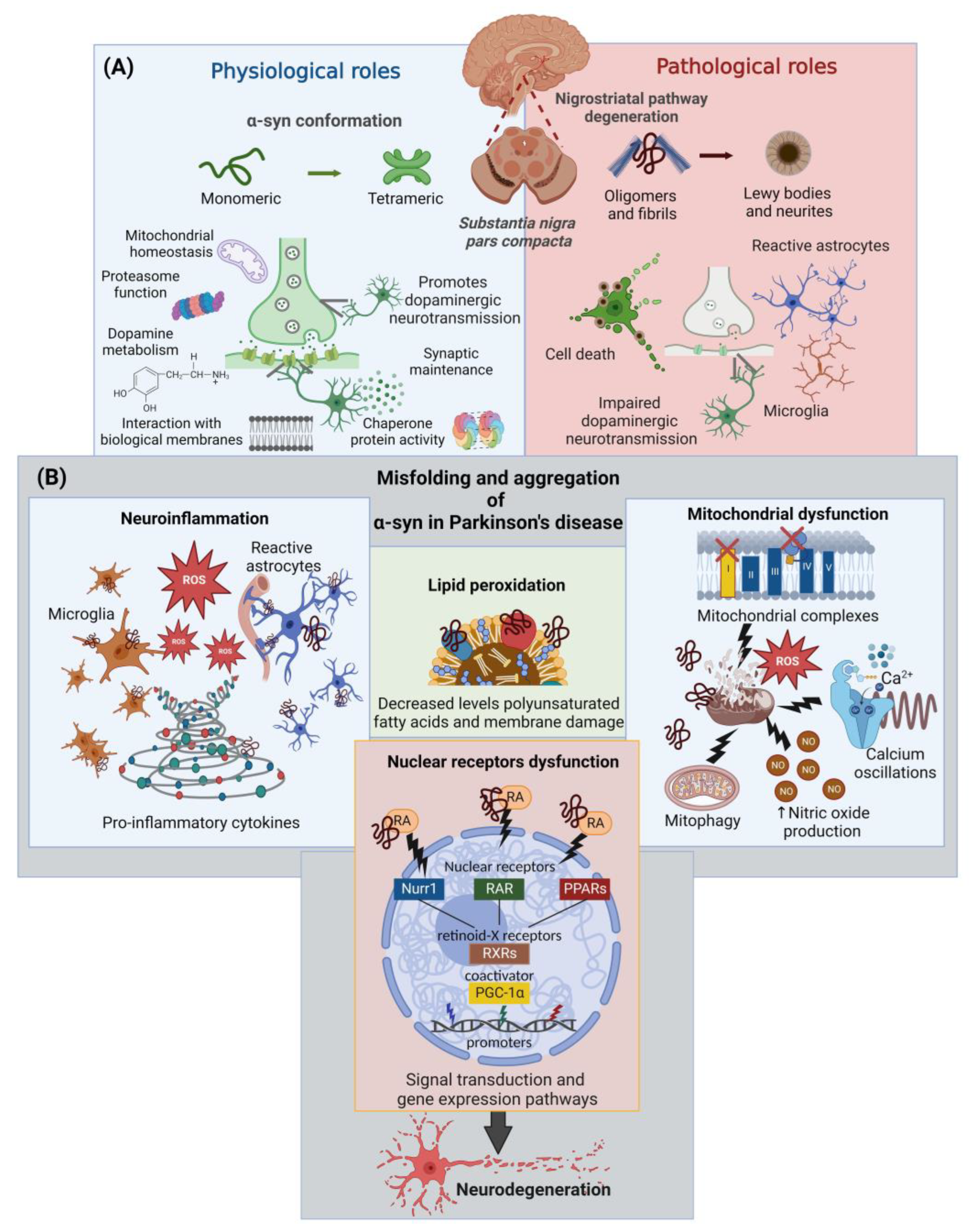 Ijms 24 03264 g001 Ijms 24 03264 g001