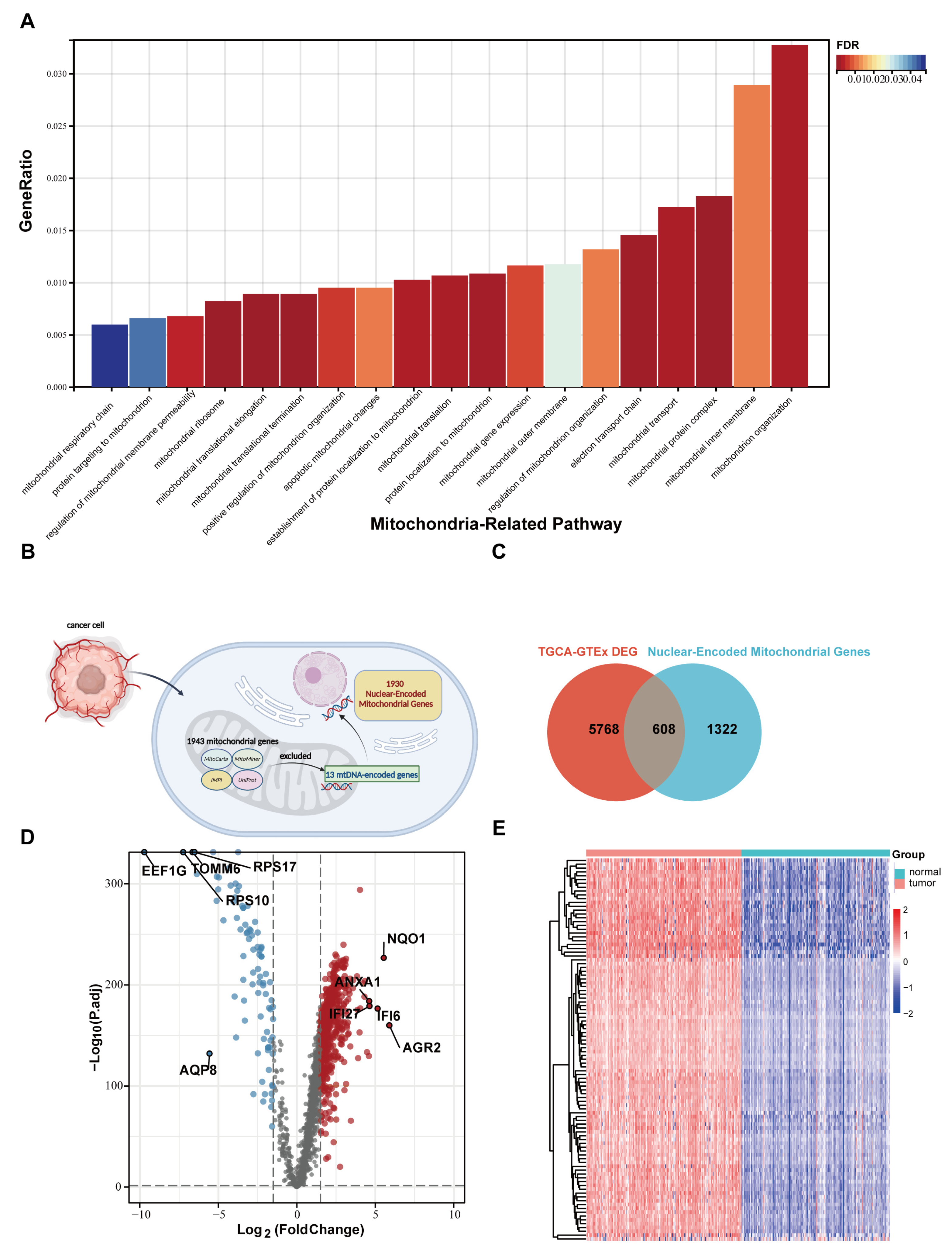 Ijms 24 03270 g002 Ijms 24 03270 g002