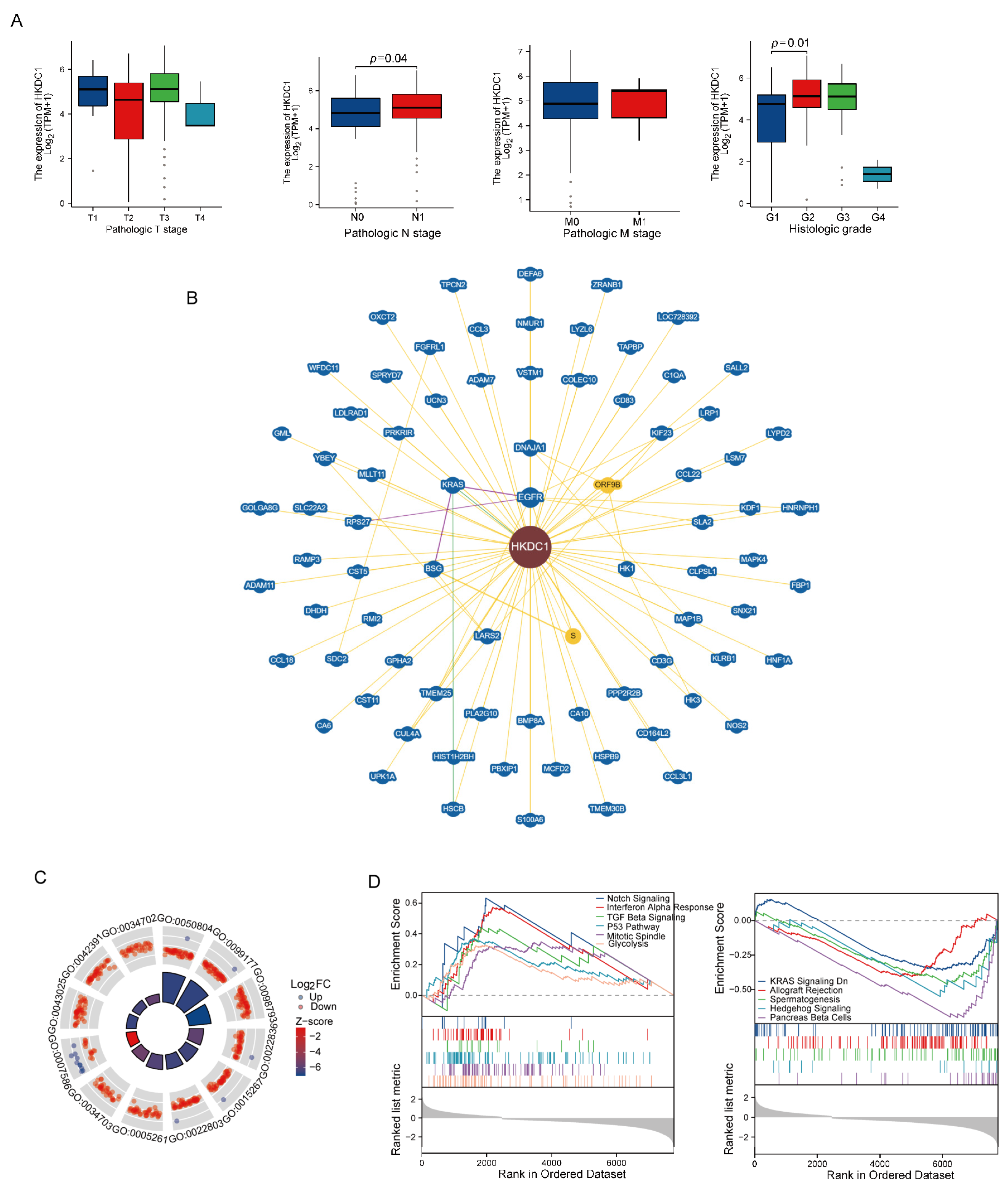 Ijms 24 03270 g009 Ijms 24 03270 g009