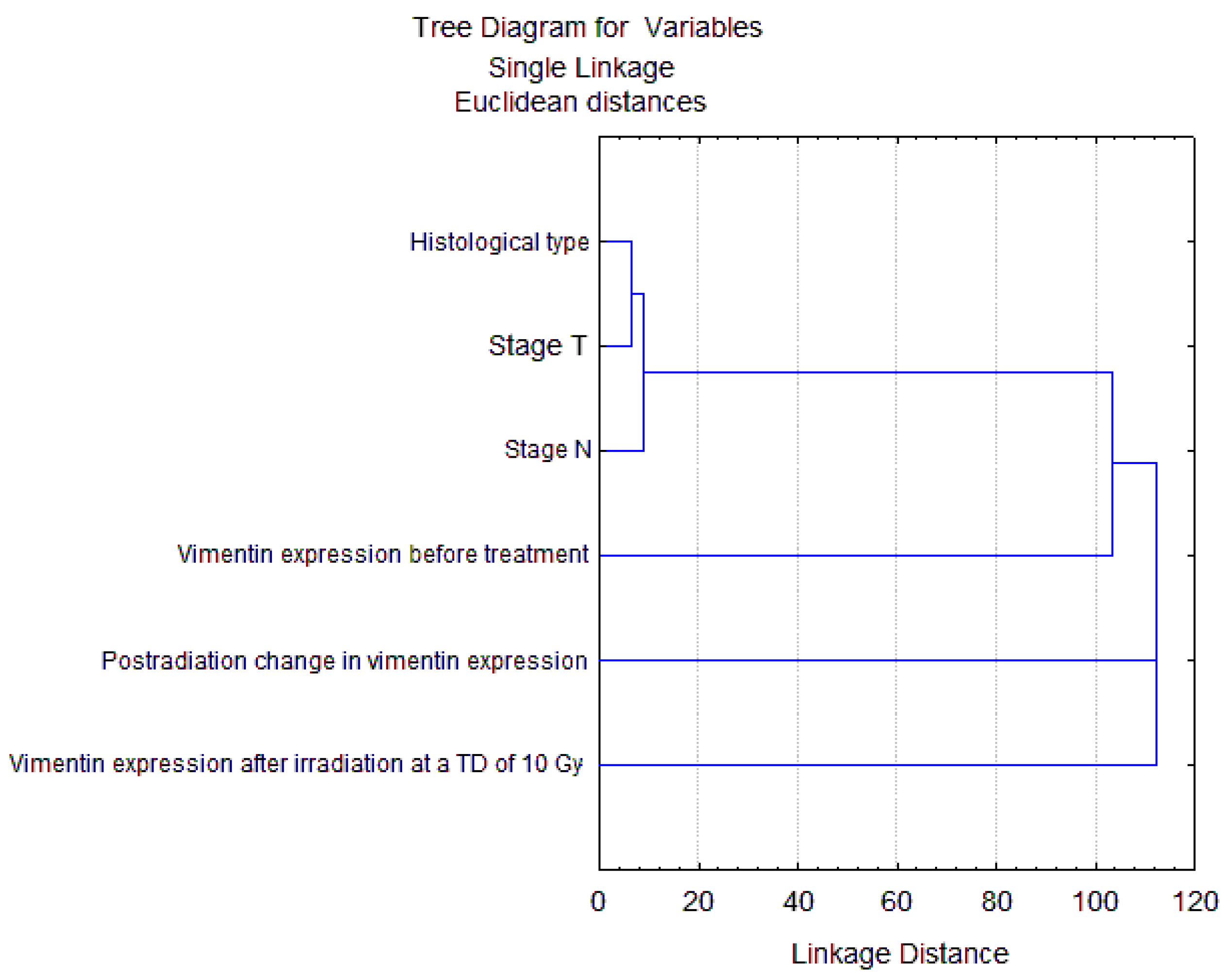 Ijms 24 03271 g007 Ijms 24 03271 g007
