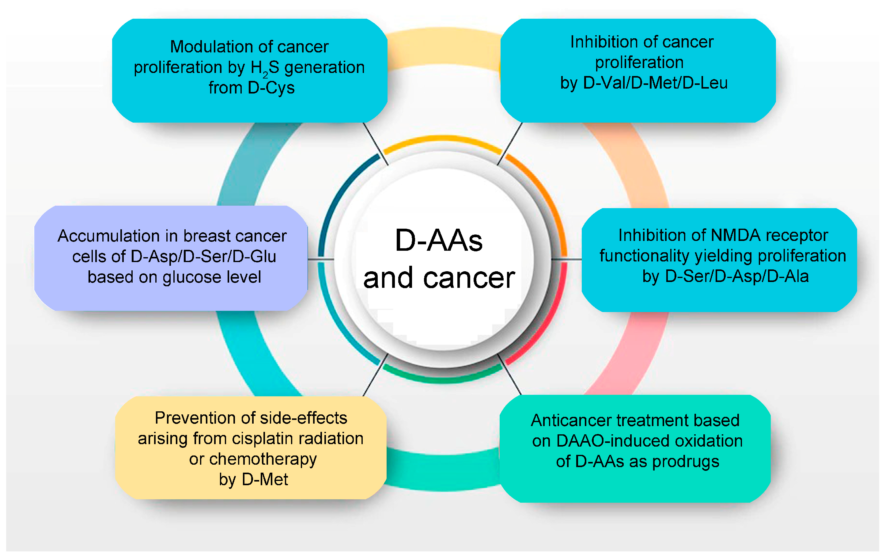 IJMS Free FullText DAmino Acids and Cancer Friends or Foes?