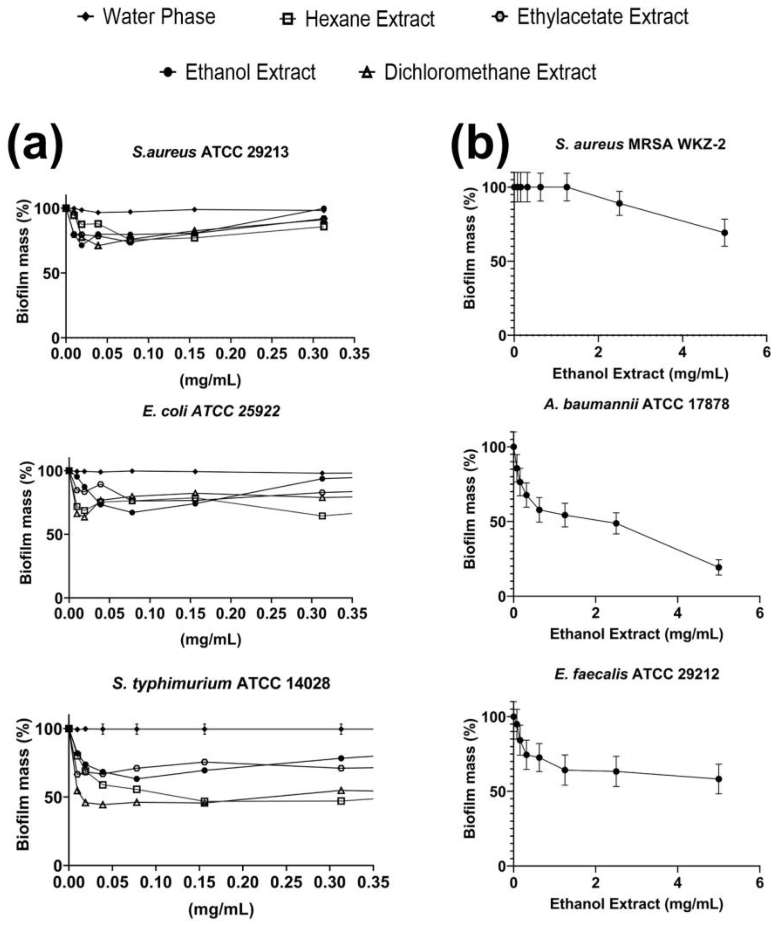 Synthesis, Modification and Characterization of