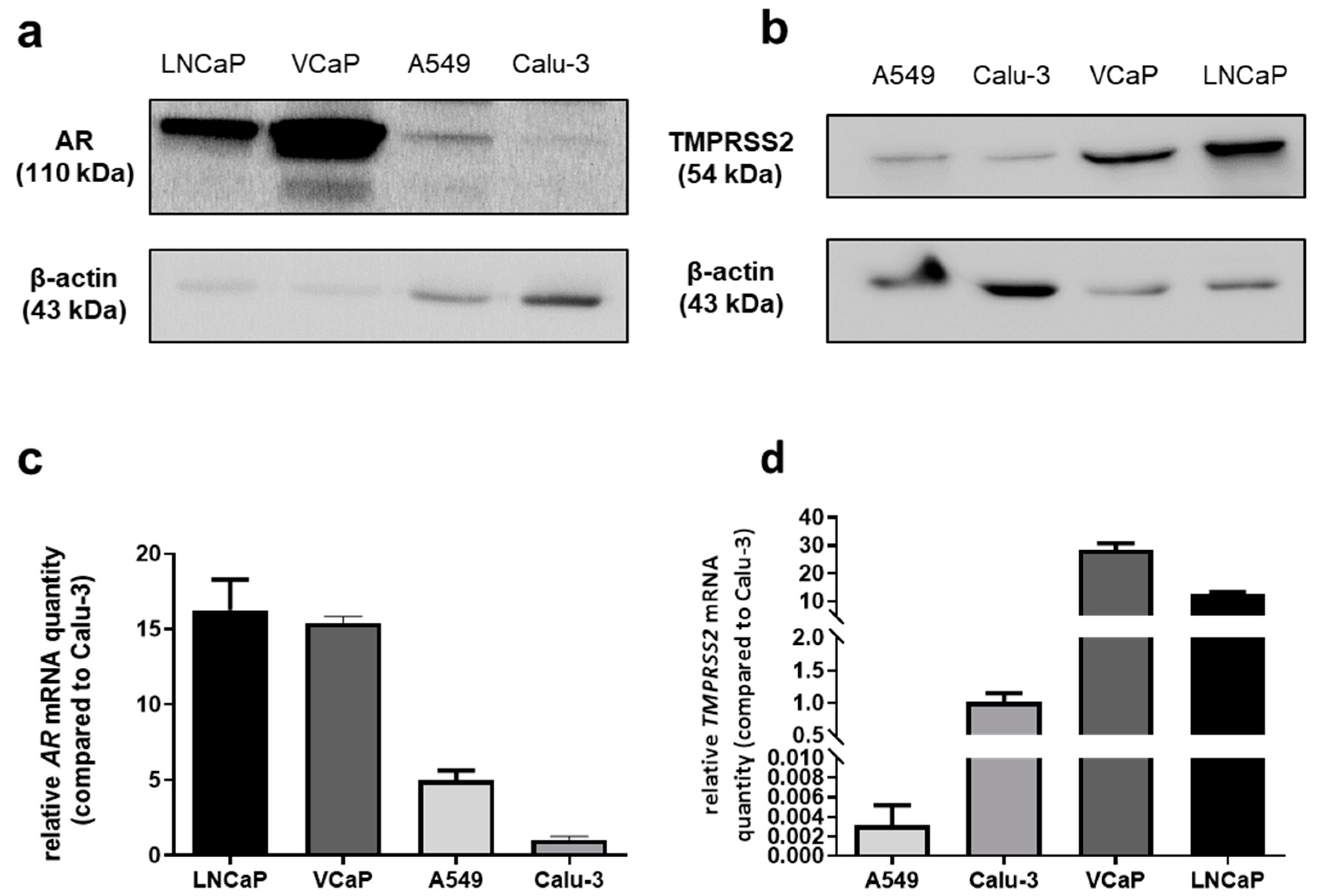 Ijms 24 03288 g001 Ijms 24 03288 g001