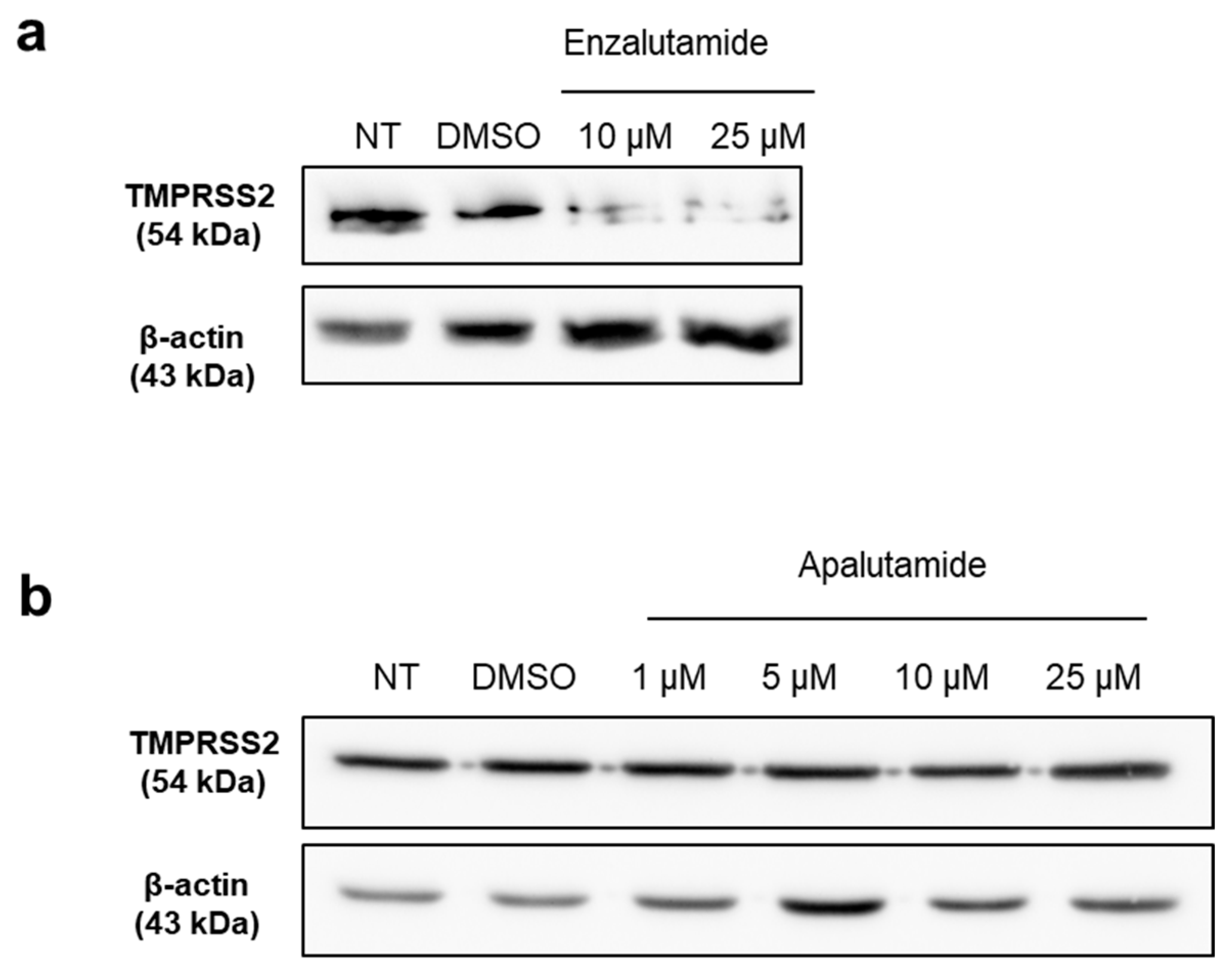 Ijms 24 03288 g003 Ijms 24 03288 g003