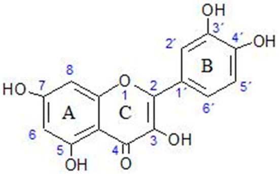 Application Potentiality of Delayed Luminescenc in Medicine