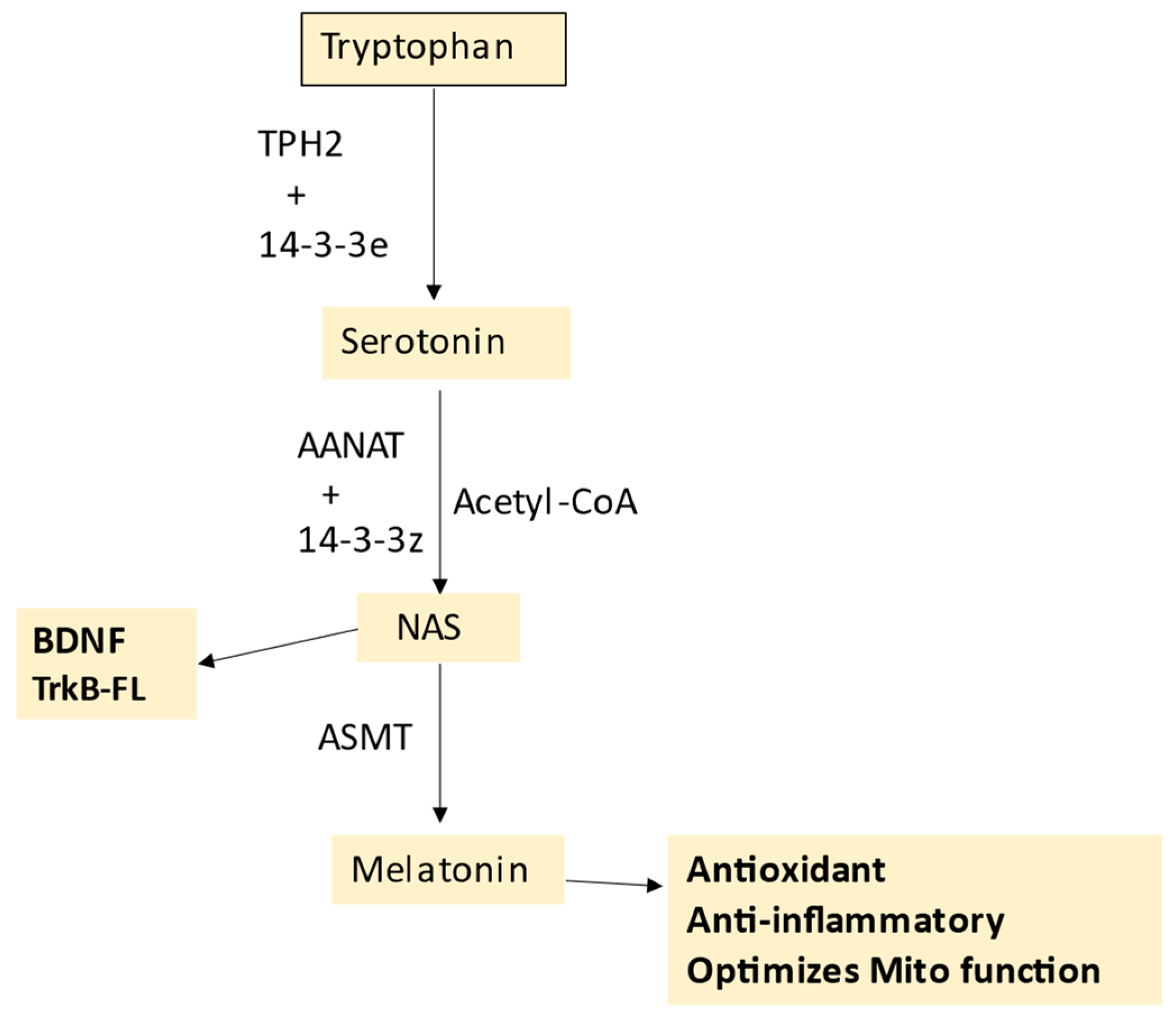 IJMS | Free Full-Text | Type I Diabetes Pathoetiology and 