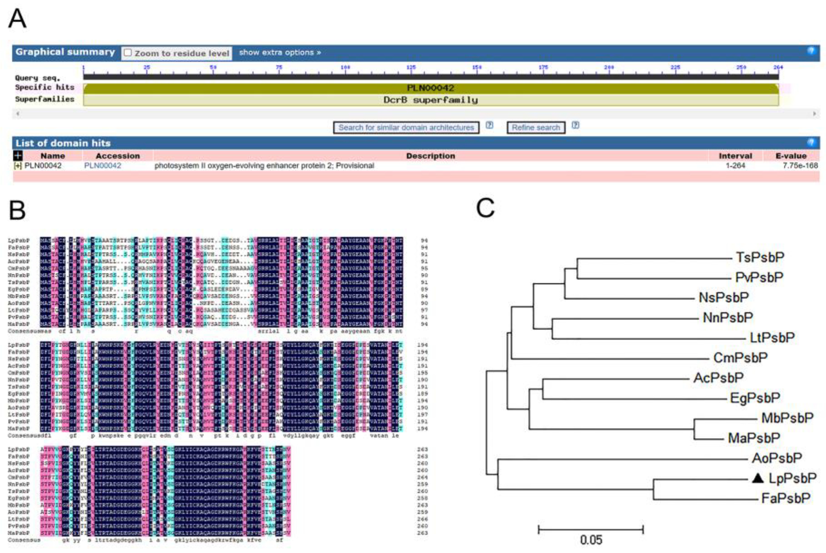 Ijms 24 03311 g001 550