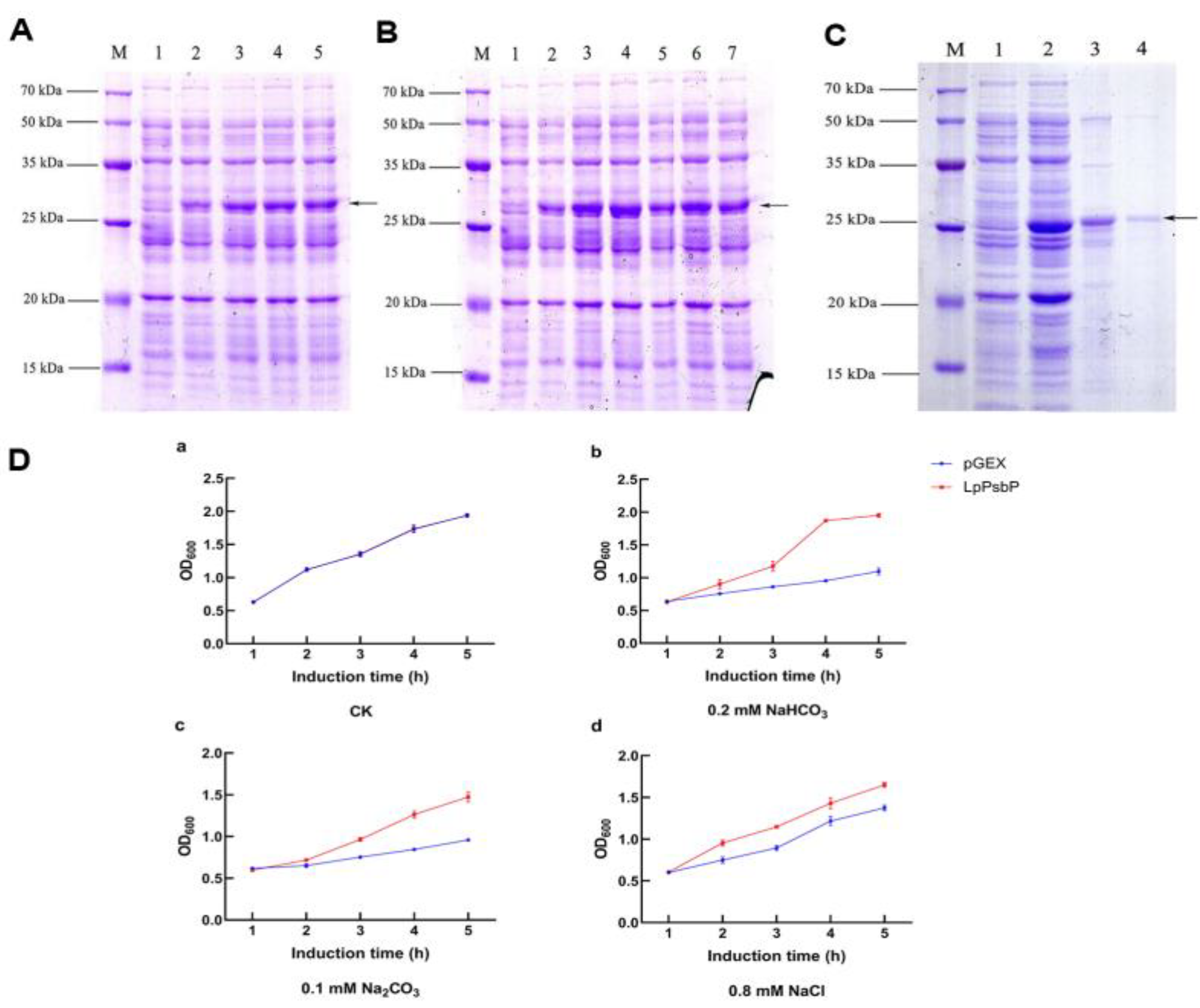 Ijms 24 03311 g003 550