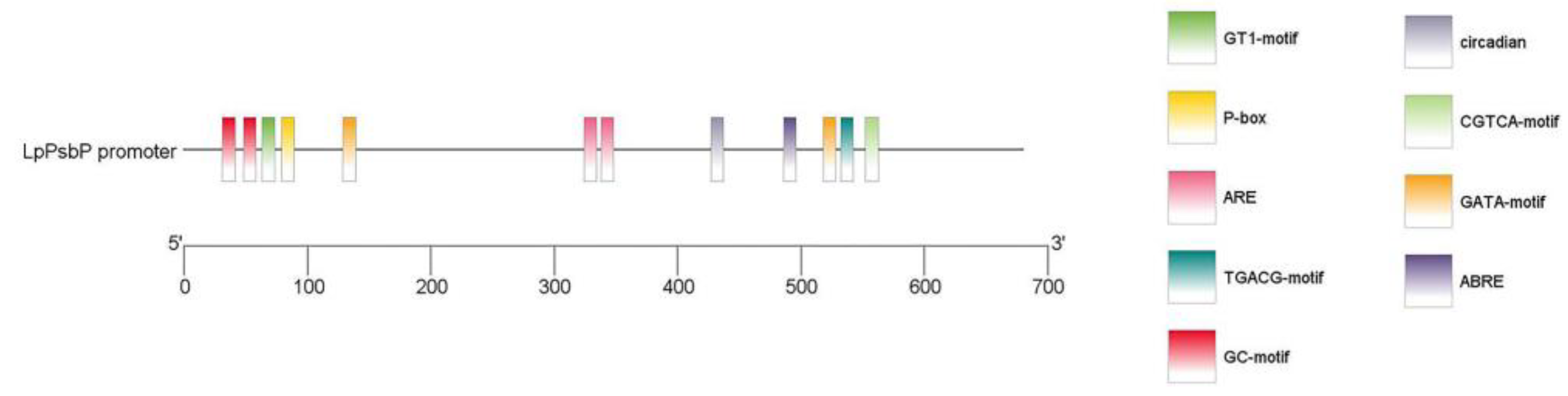 Ijms 24 03311 g007 550