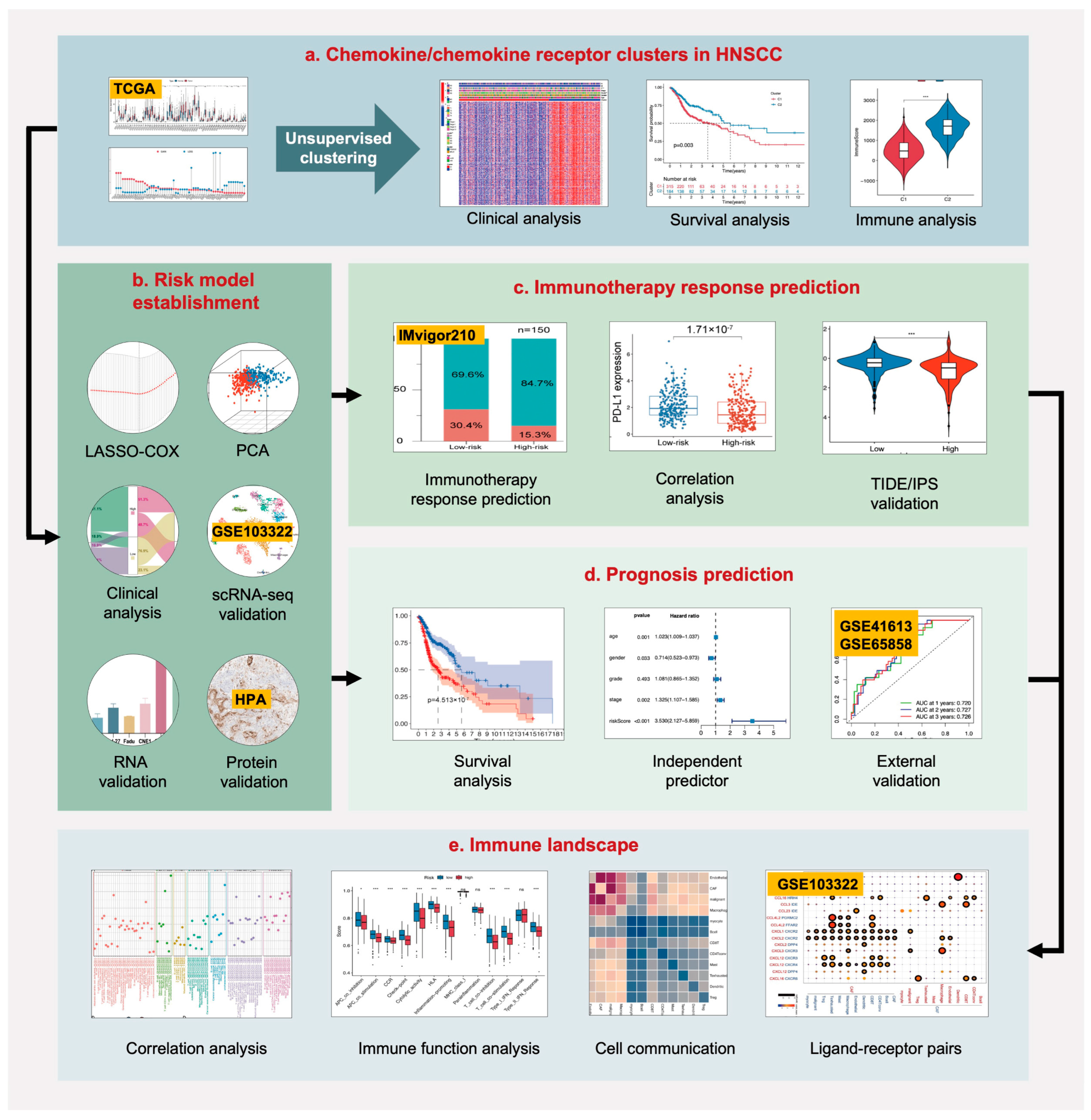 Ijms 24 03317 g001 550