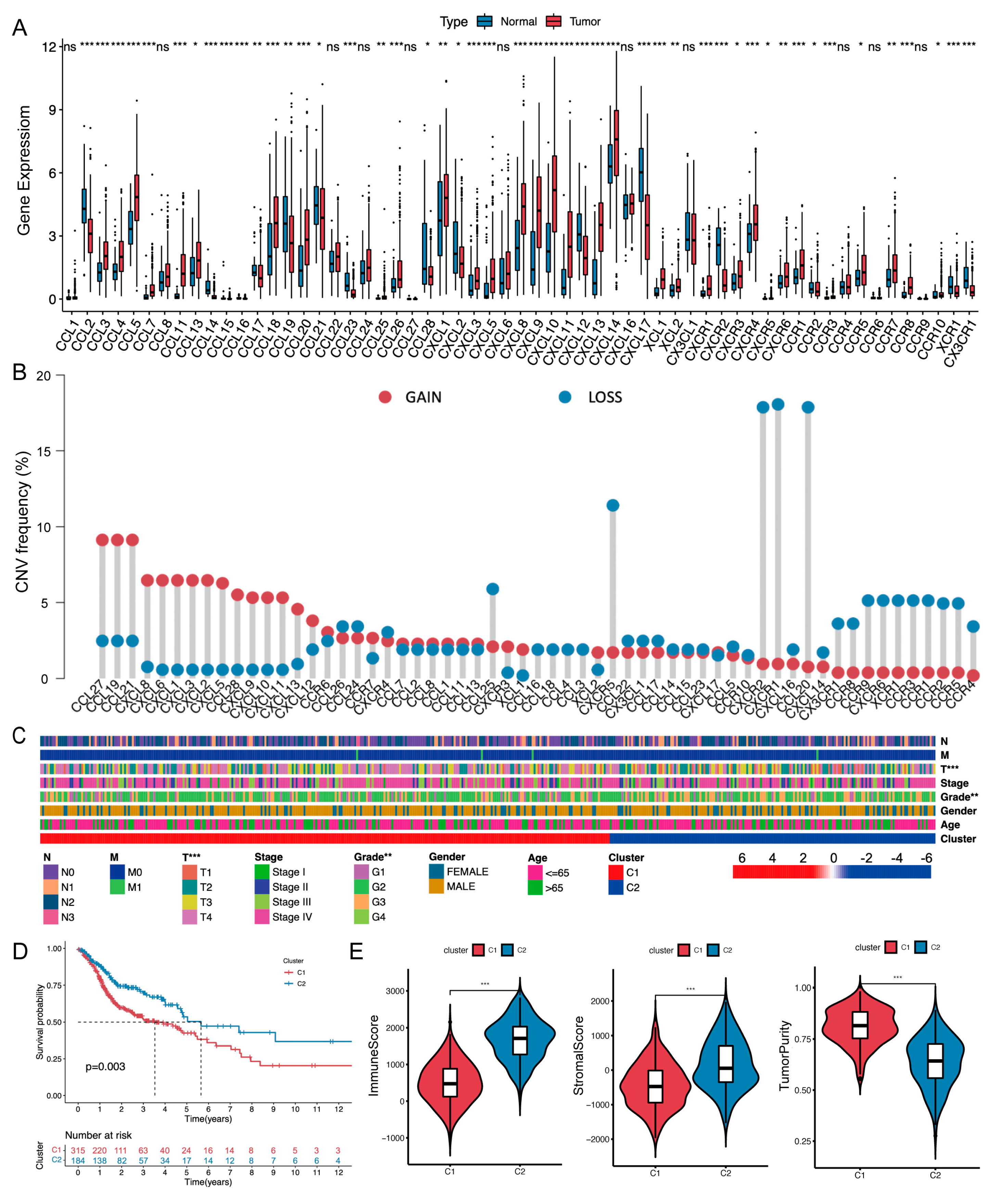Ijms 24 03317 g002 550