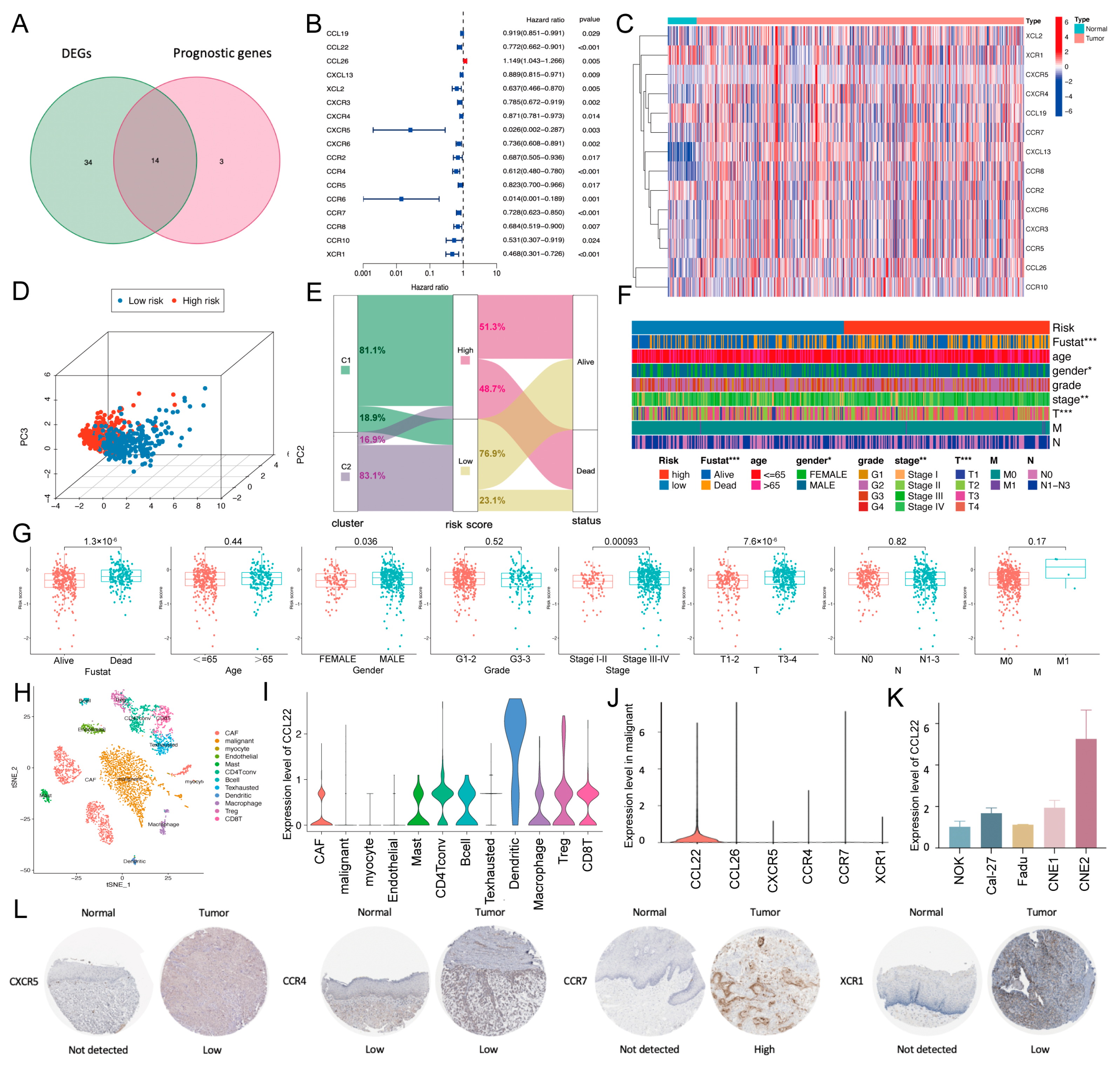 Ijms 24 03317 g003 550
