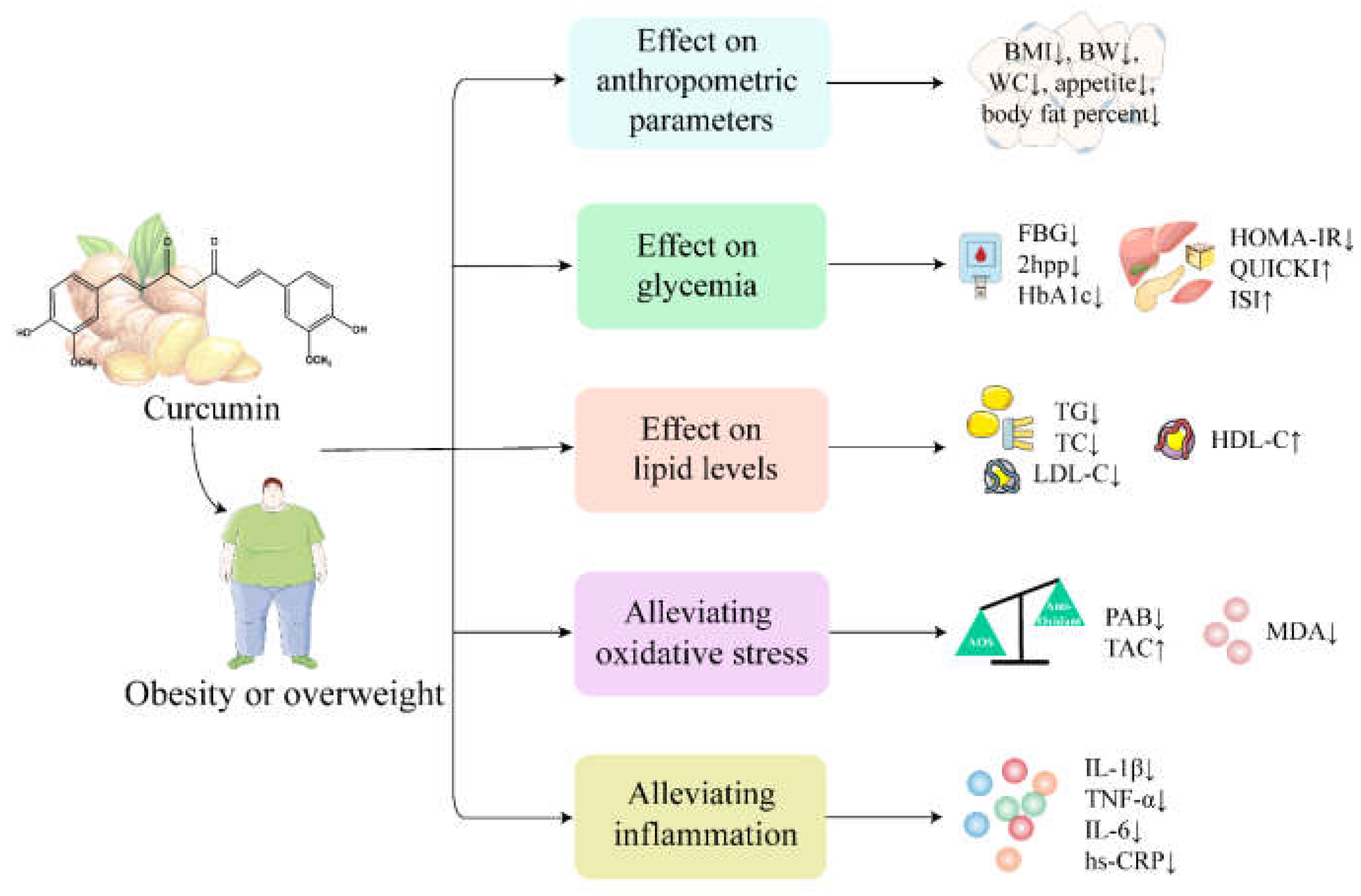 Ijms 24 03323 g003 Ijms 24 03323 g003