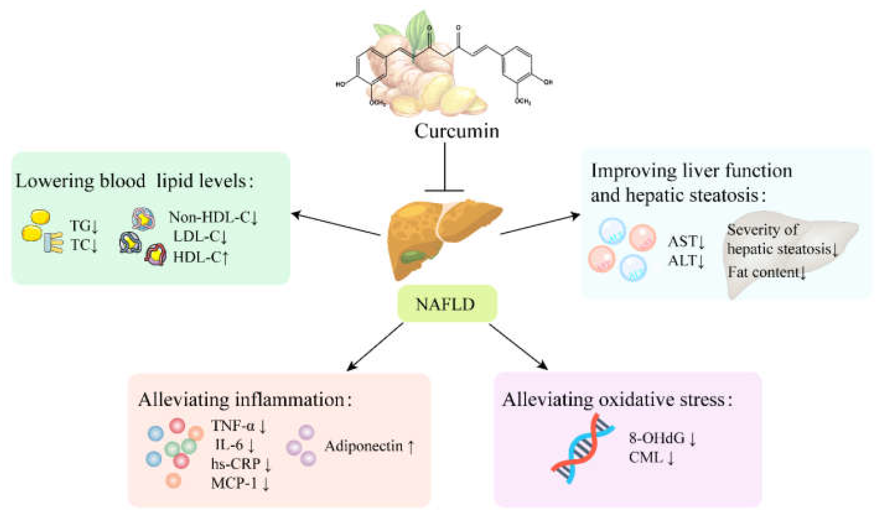 Ijms 24 03323 g004 Ijms 24 03323 g004