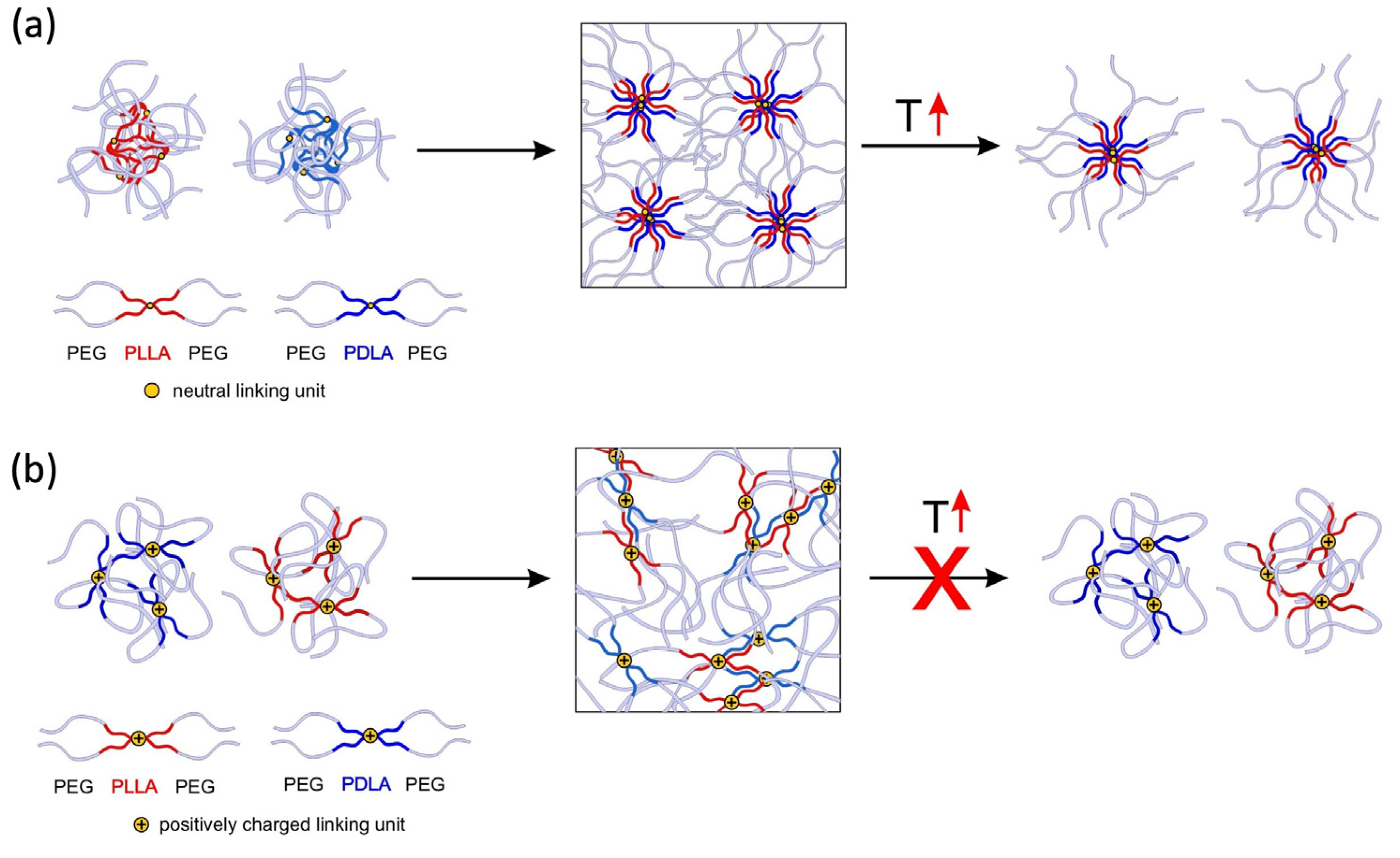 Ijms 24 03327 g005 550