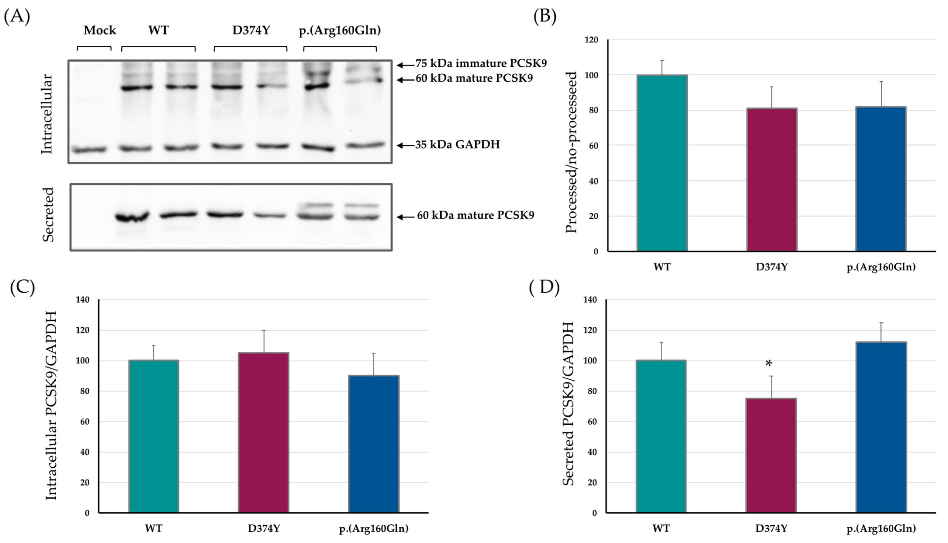 Ijms 24 03330 g002 550