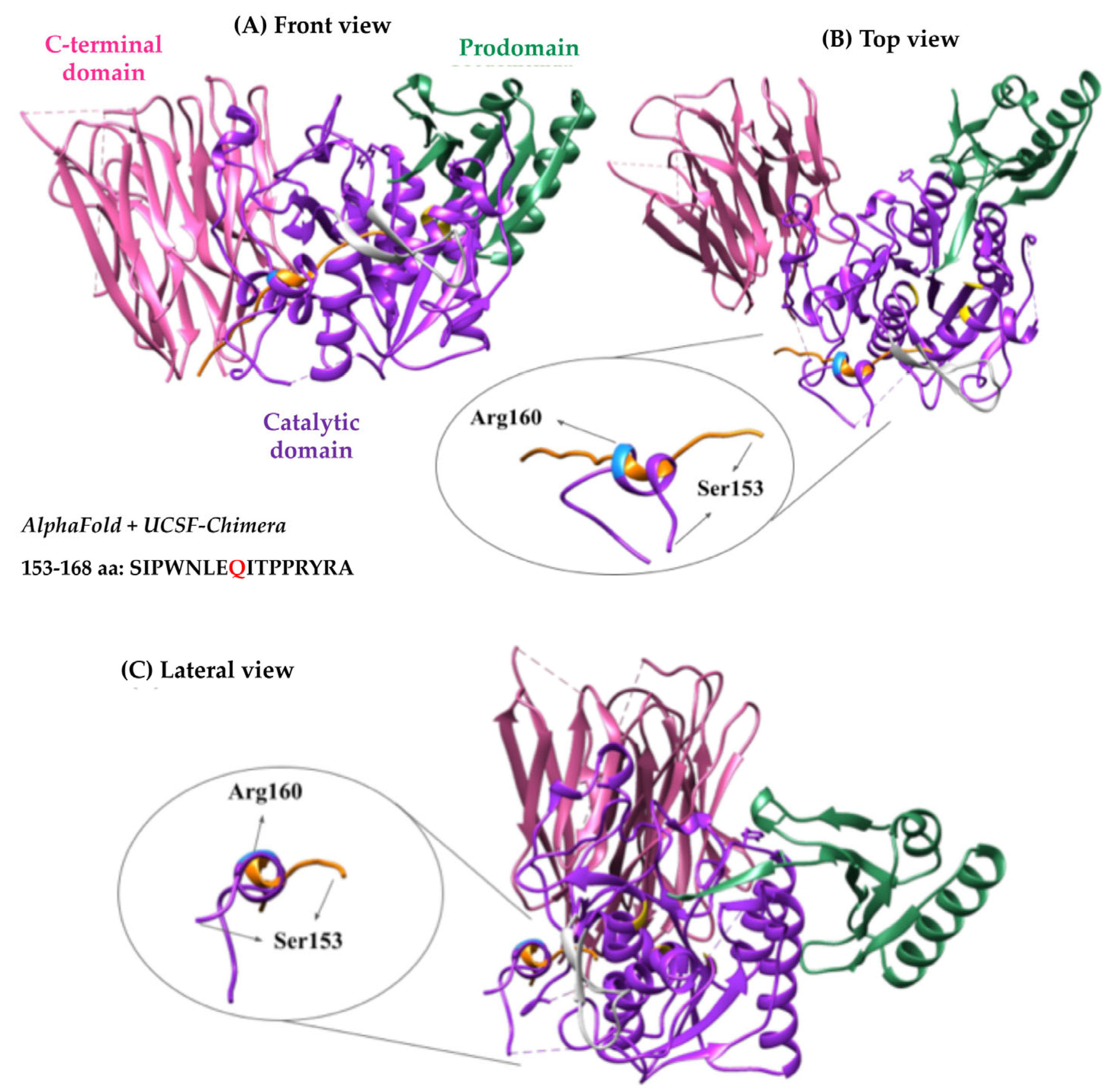 Ijms 24 03330 g005 550