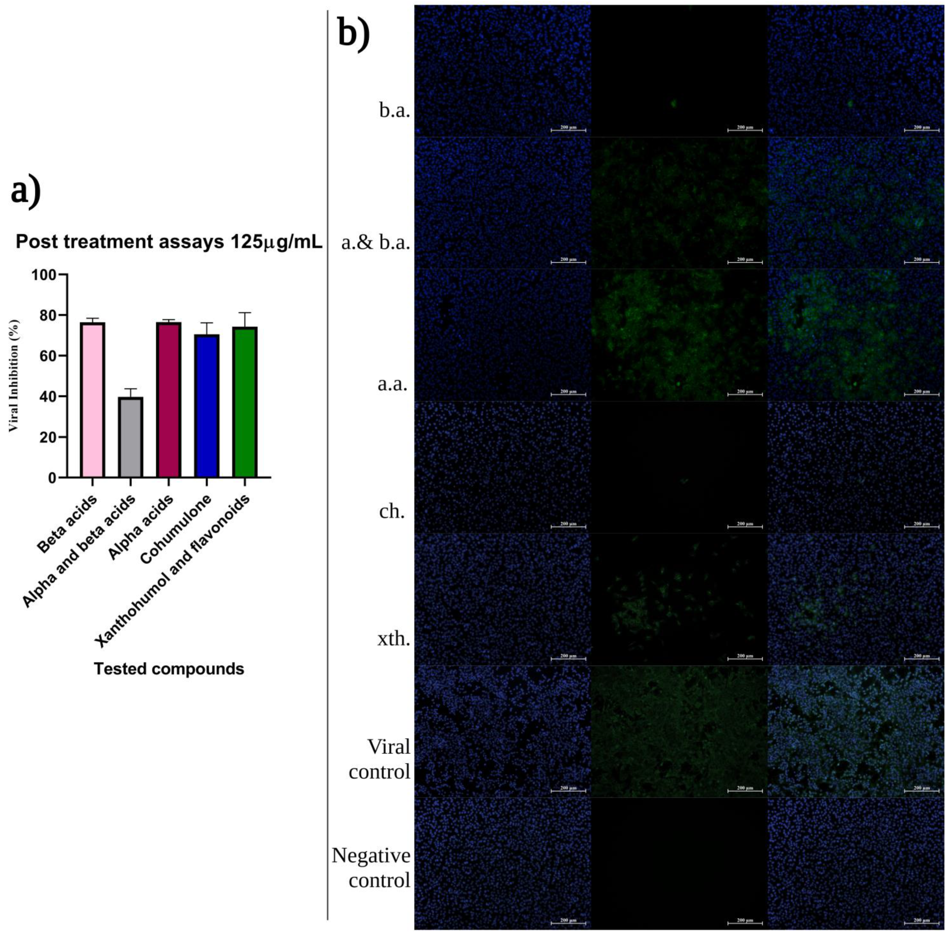 Ijms 24 03333 g005 550